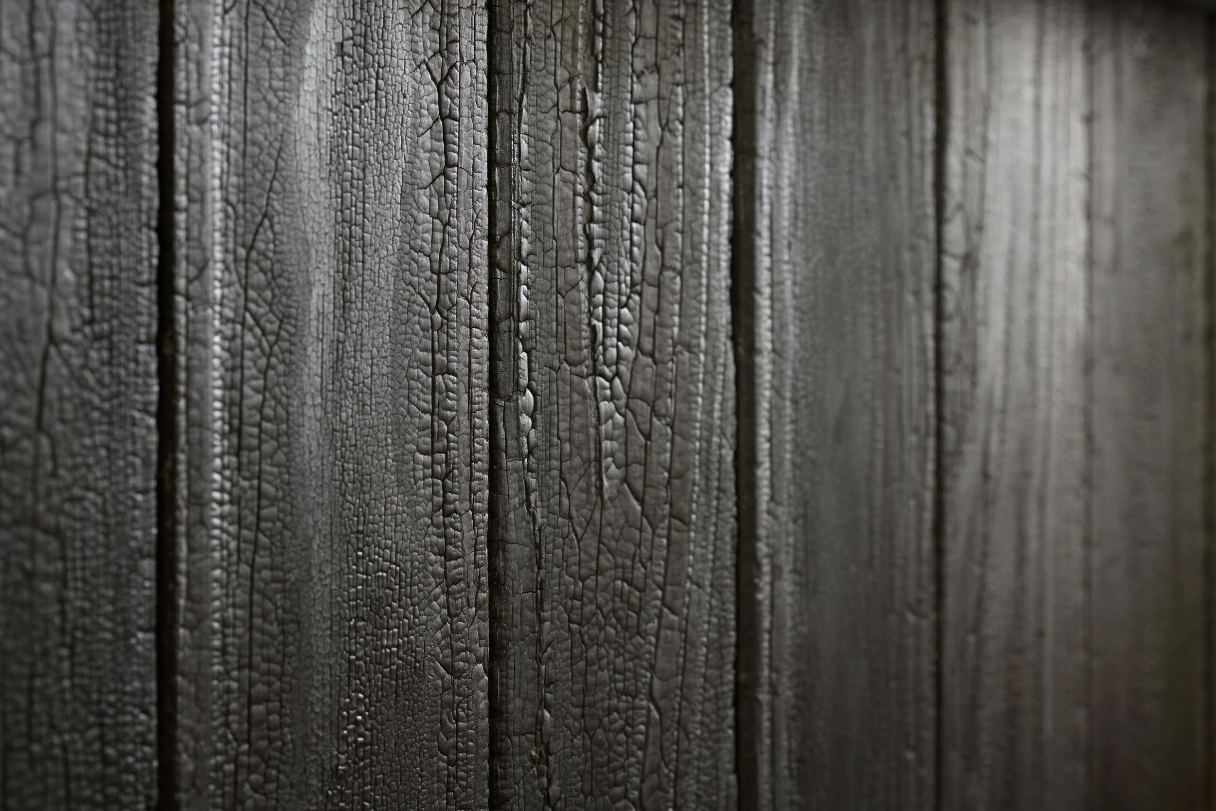 Print Dining Wall Detail 2 © ZAC and ZAC.jpg
