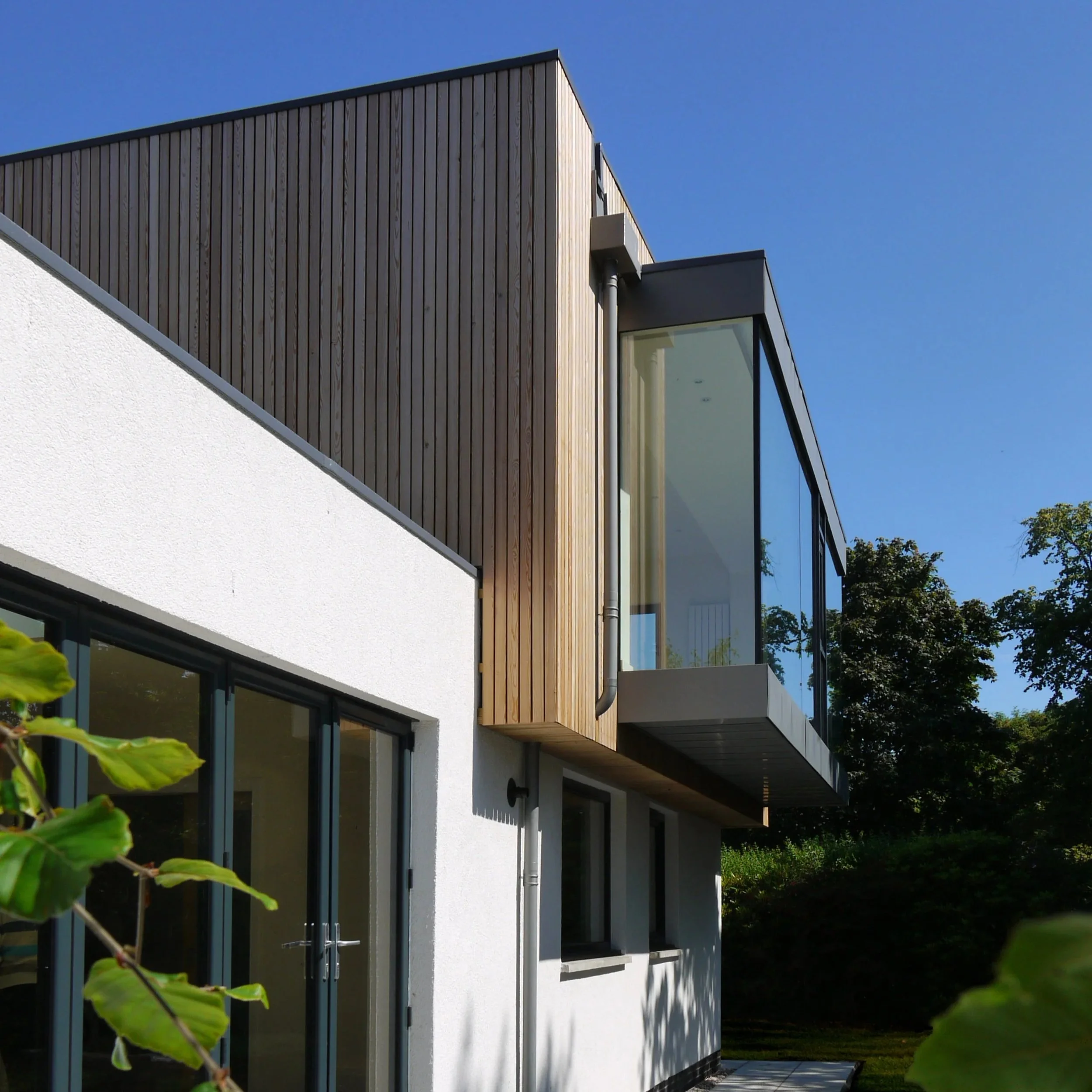 David Blaikie Architects_Dovecot Park_Extension.jpg