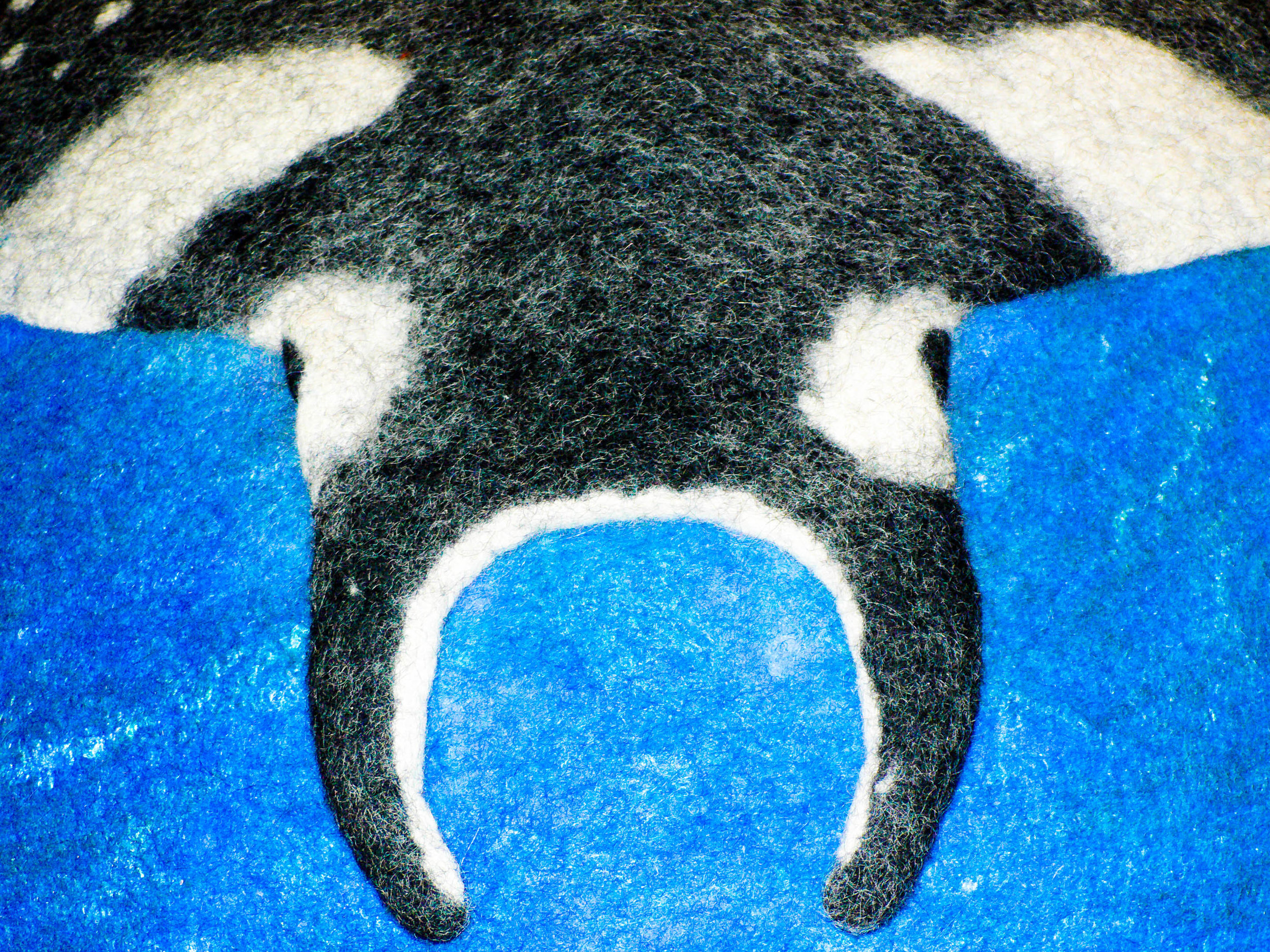 Detail Manta