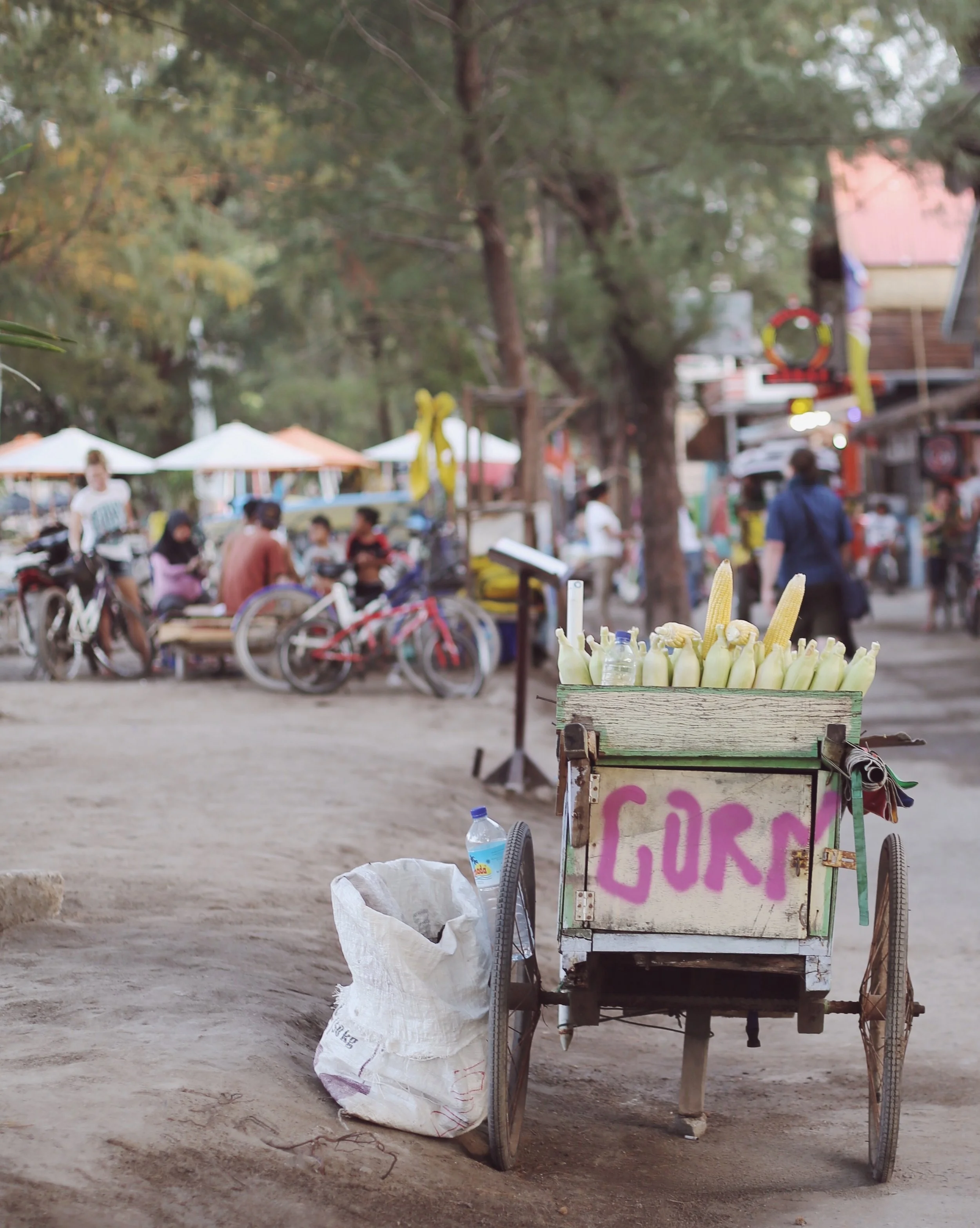 gili islands 2.jpeg