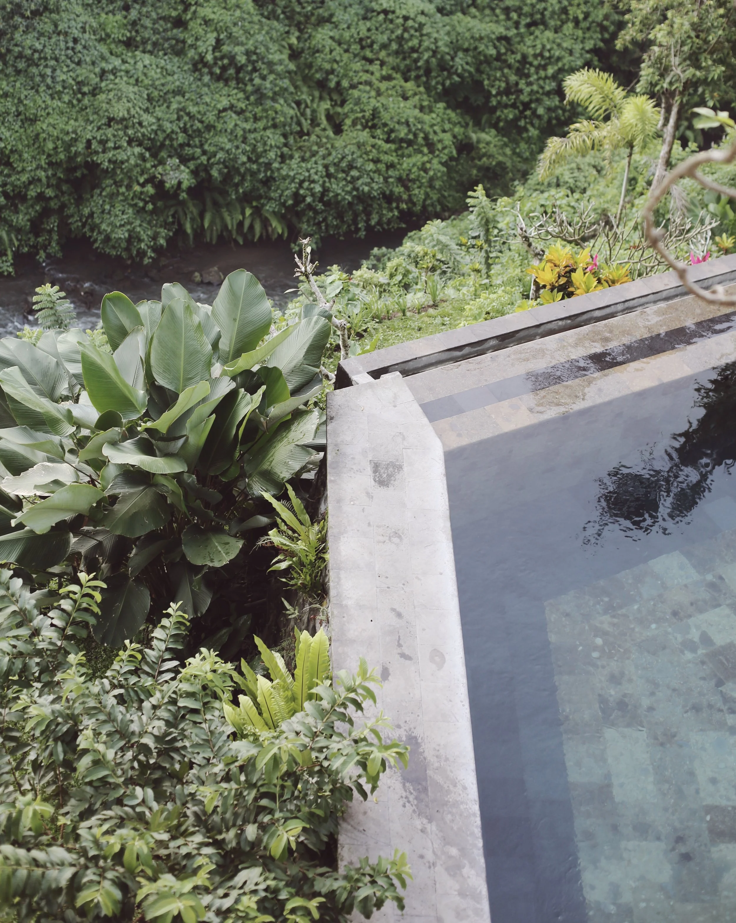 ubud 4.jpeg
