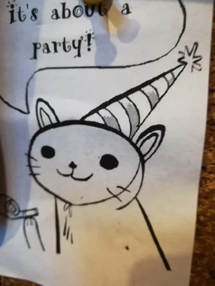 partycat1.jpg