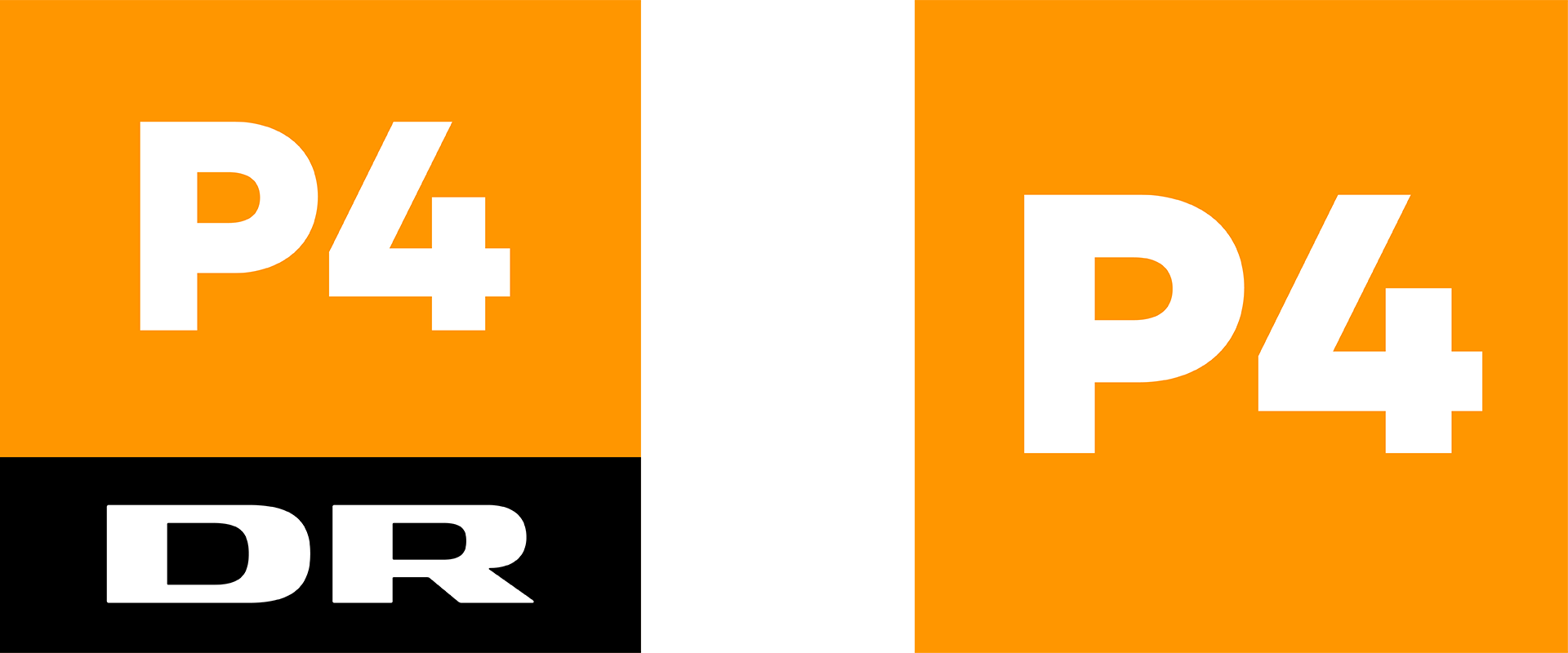 P4_logoer.png