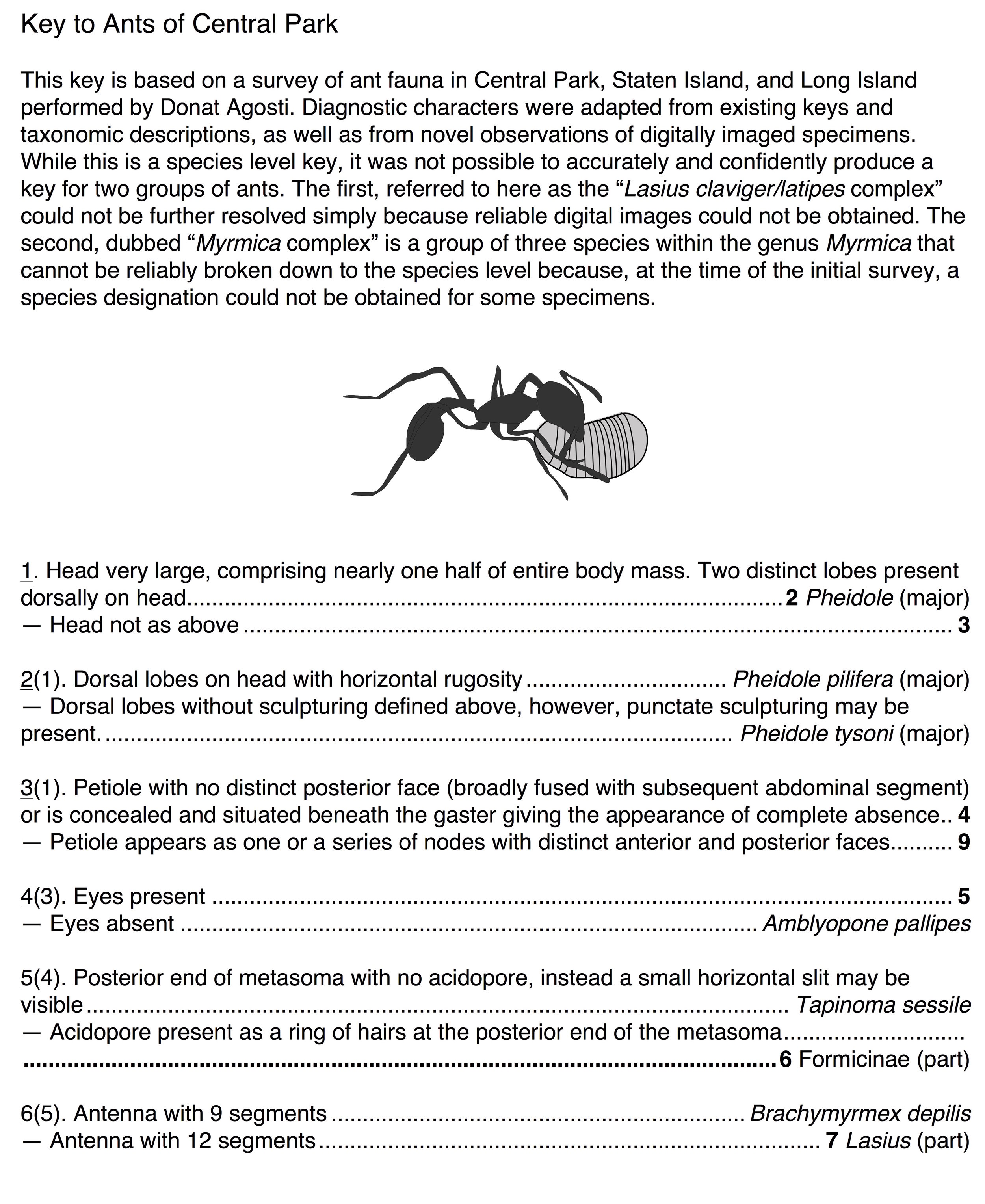 Key to Ants of Central Park