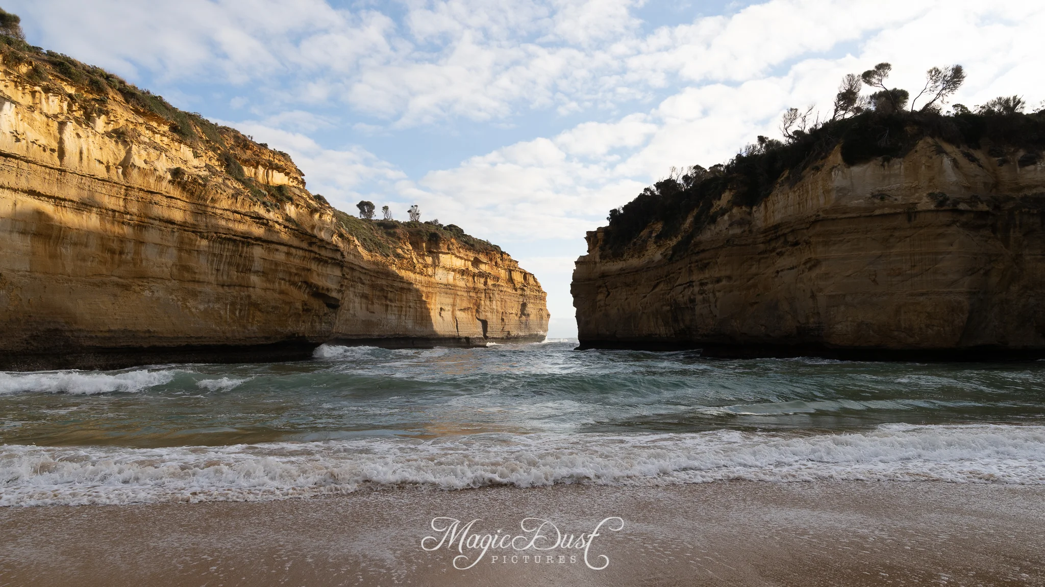 Just for kicks, the original image in its raw, unedited format.