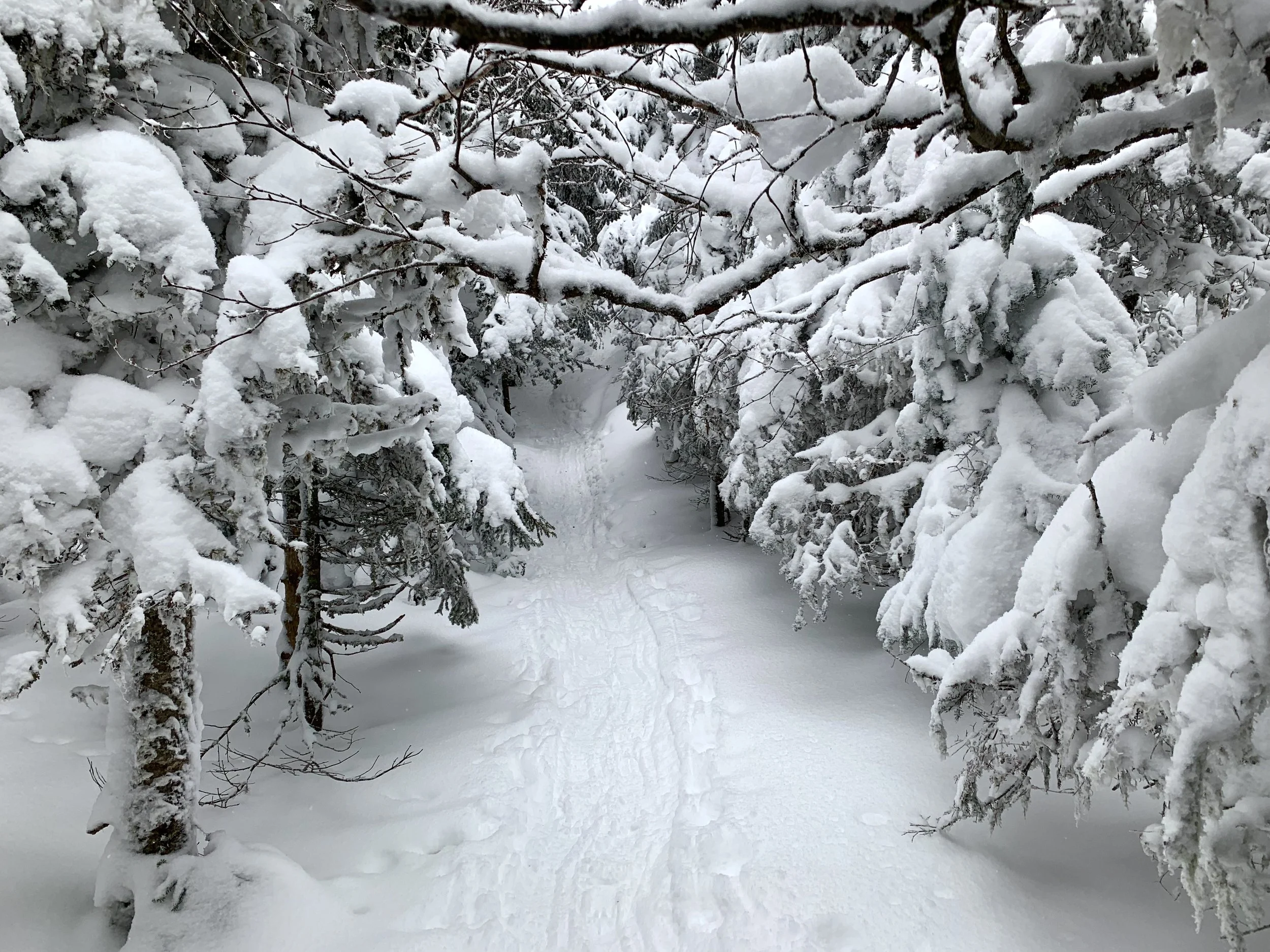 Trail towards Cascade Summit ADK