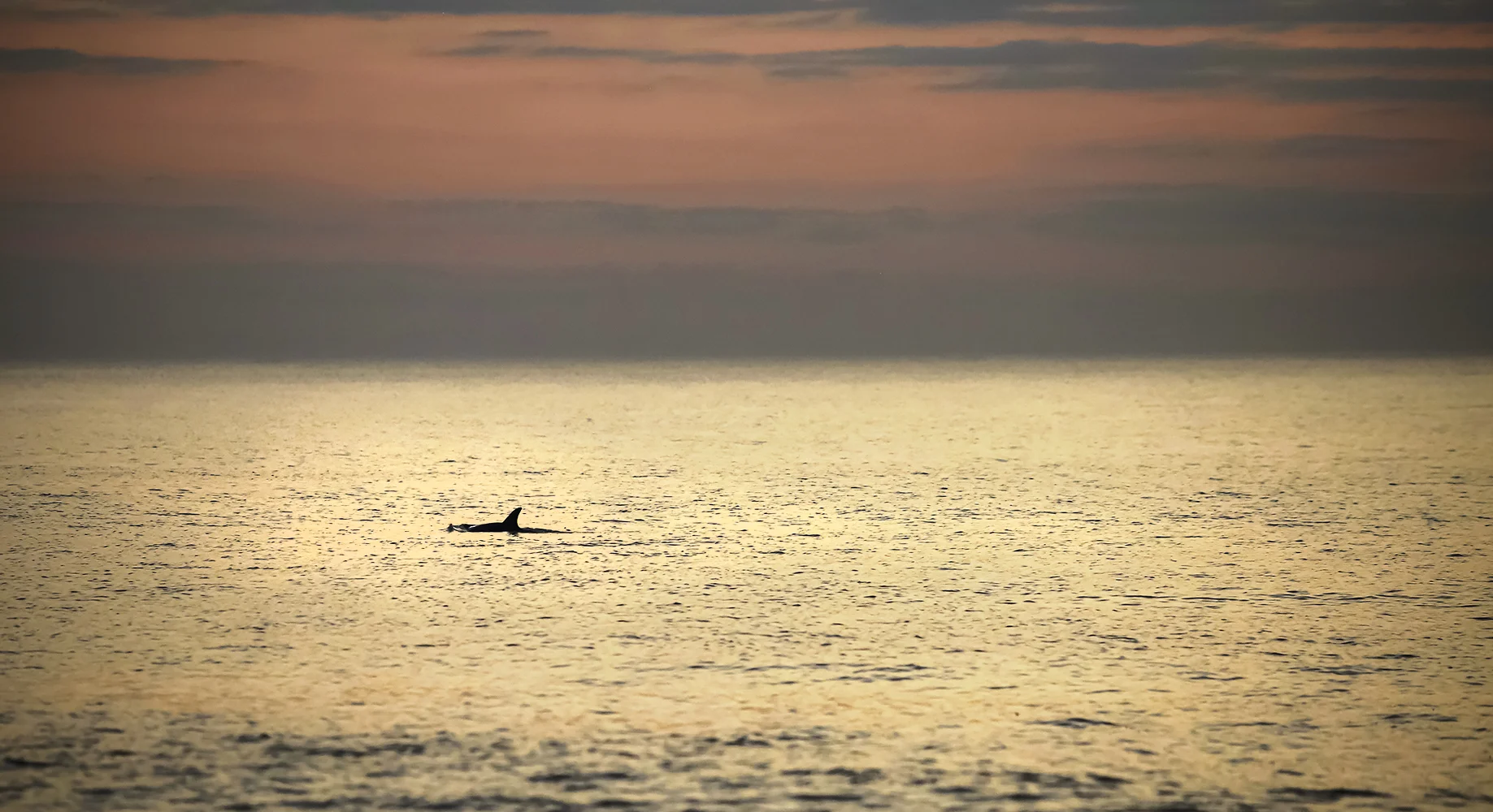 rehoboth beach, Delaware 2019