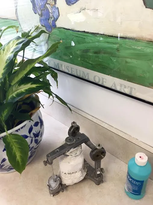 Potted plant, cast of upper and lower teeth, disinfecting soap, beneath a painting of a blue plant.