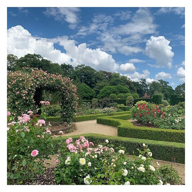 I recently had the pleasure of visiting the really very lovely walled garden at @loseley_park. So enchanting was the scent of over 1,000 english roses &amp; sight of that ancient wisteria, that I couldn&rsquo;t help but write about said visit☝🏻
.
.
