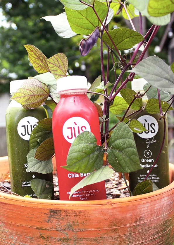 juice5.jpg