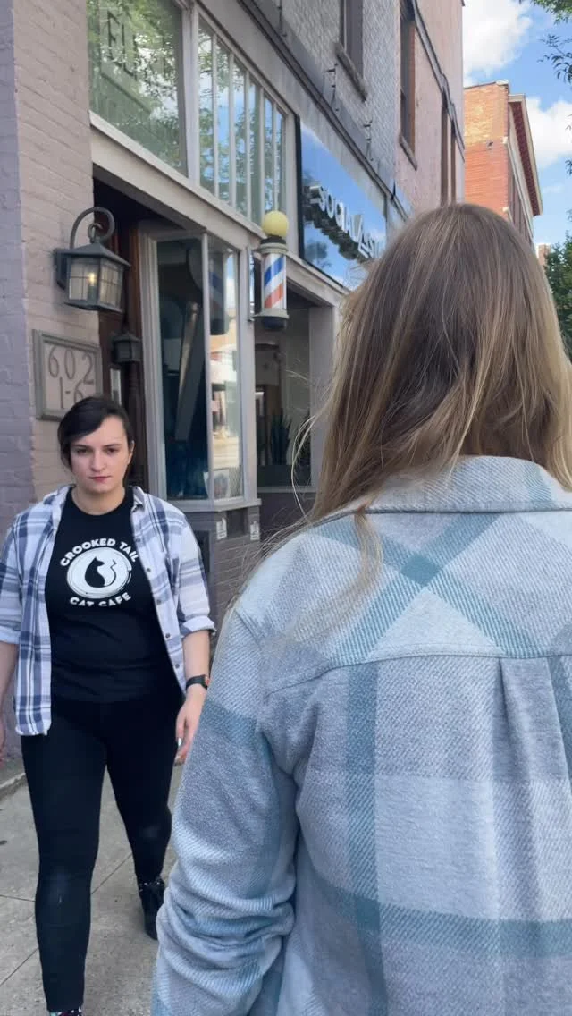 Come pet our cats or else 😠👊
#crookedtailcatcafe #catcafes #adoptdontshop❤️ #gsonc #greensboronc #visitgso #plantbasedcafe #purrista #catcafemeow #adoptablecats #rescuecatsrule