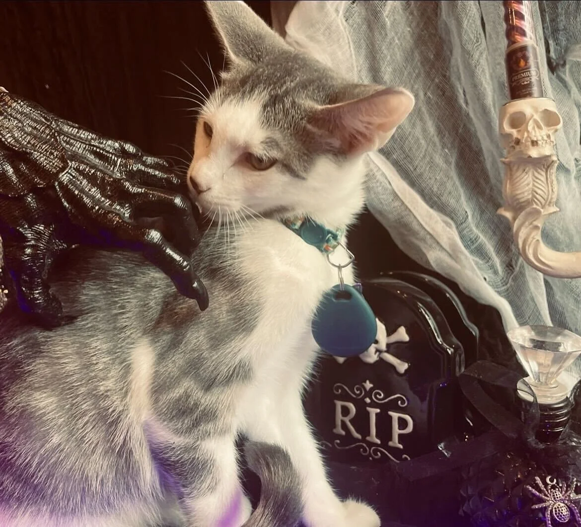 When the icy cold grip of death is after you, you say, not today satan. 💀