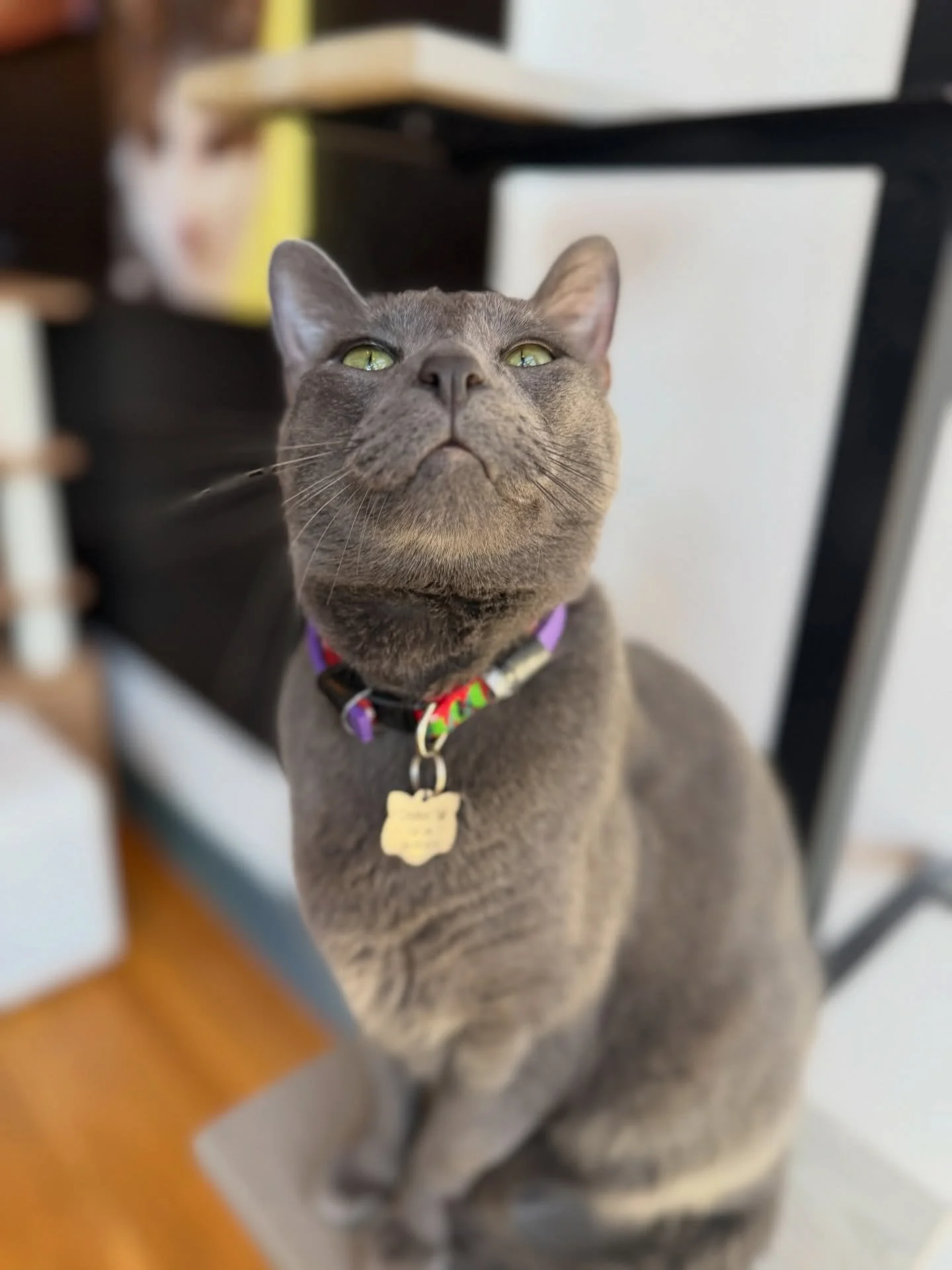 This is Tito. Come visit us today. Make a reservation if you want your spot secured. Walk-ins only as space allows. Thanks!