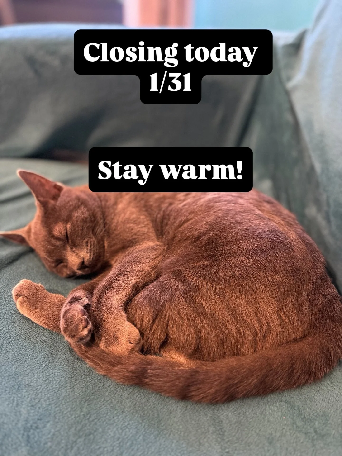 I woke up to an inch of snow this morning so we are making the call to go ahead and close for the day. Hopefully the roads will be cleared tomorrow and we can open back up. 

Folks, when this weather finally warms up we implore you to support the sma