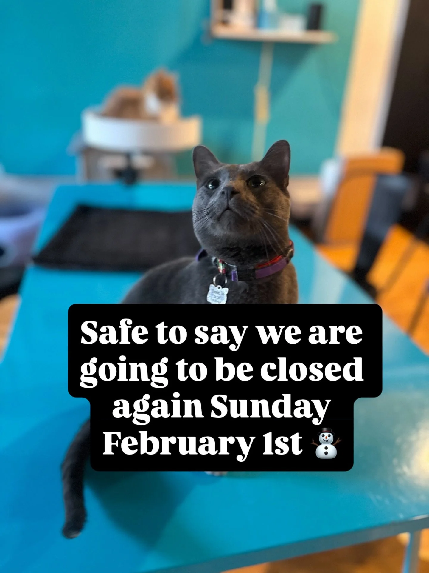 With nearly a foot of snow fall we are going to go ahead and close for tomorrow. We really hope that we are able to reopen by Tuesday, but we will keep you all posted! Stay safe in this crazy winter weather.