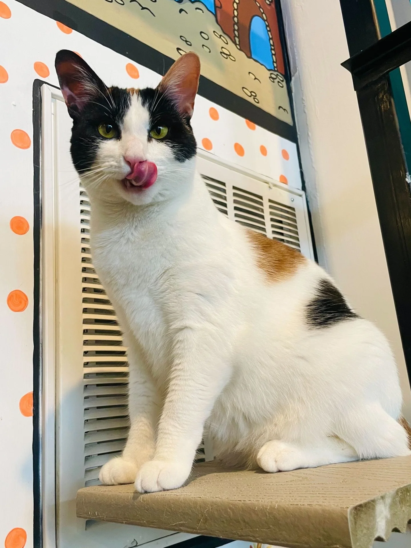 Psst&hellip; Freya here! Weekends are our busiest time, so reservations are HIGHLY encouraged. Make sure to book online on our website to secure your spot