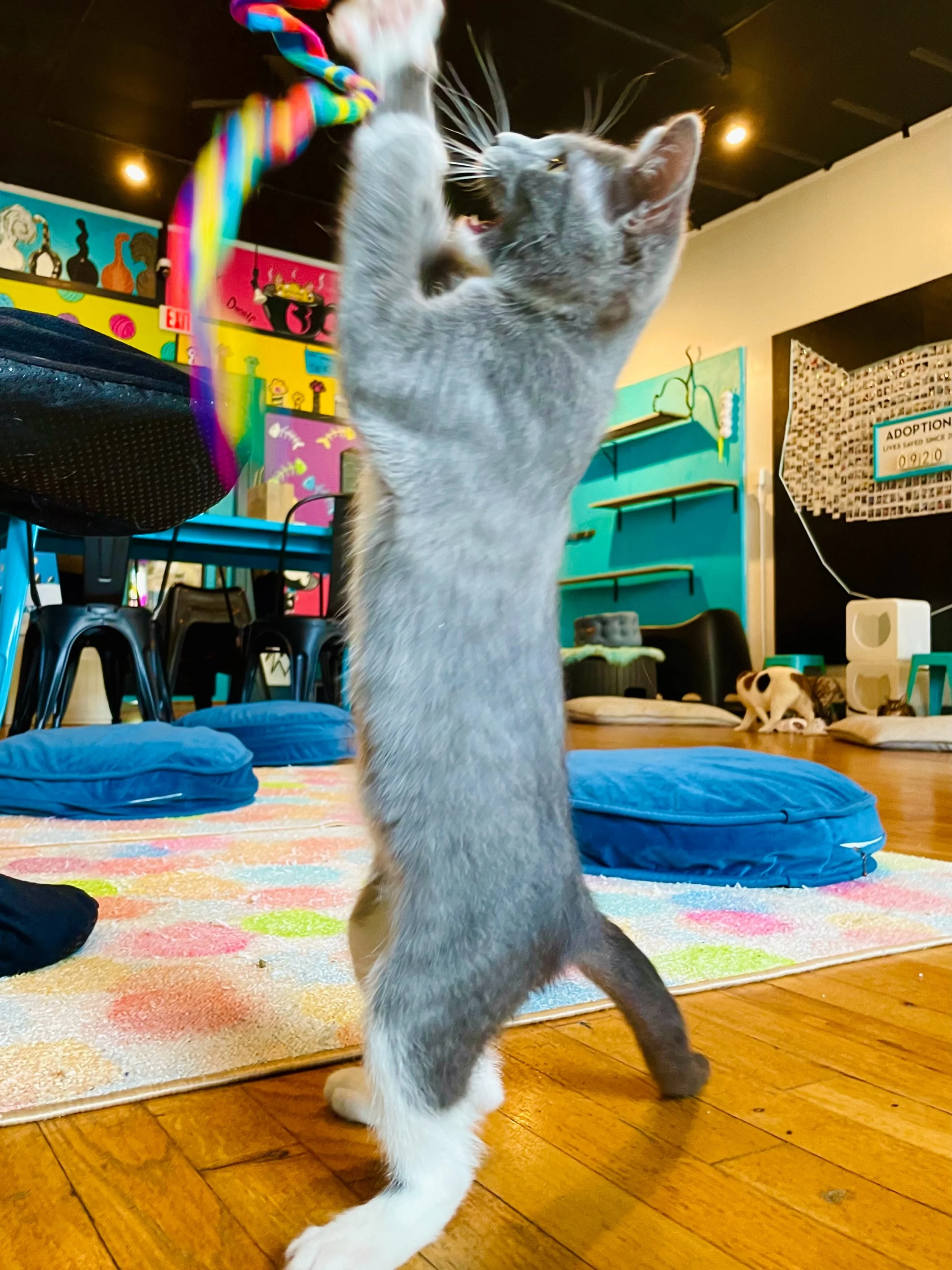 This weekend we have our monthly special events. 

Kiddie time is this Sunday at 11:00am. We allow kids under 5 during these sessions and it normally sells out way in advance, but there are still plenty of spots for tomorrow. 

This evening we have A
