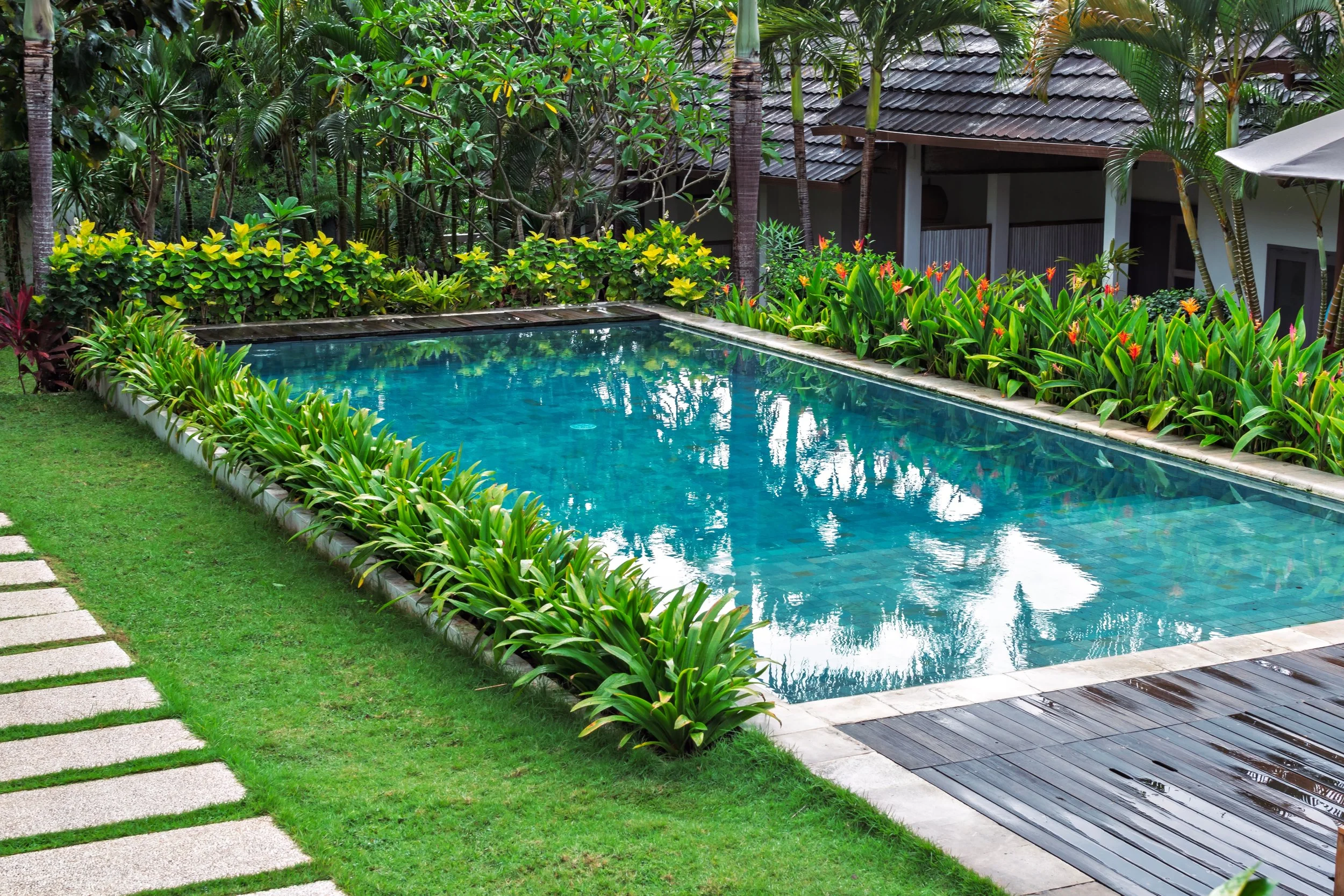 Tropical Pool 3.jpg