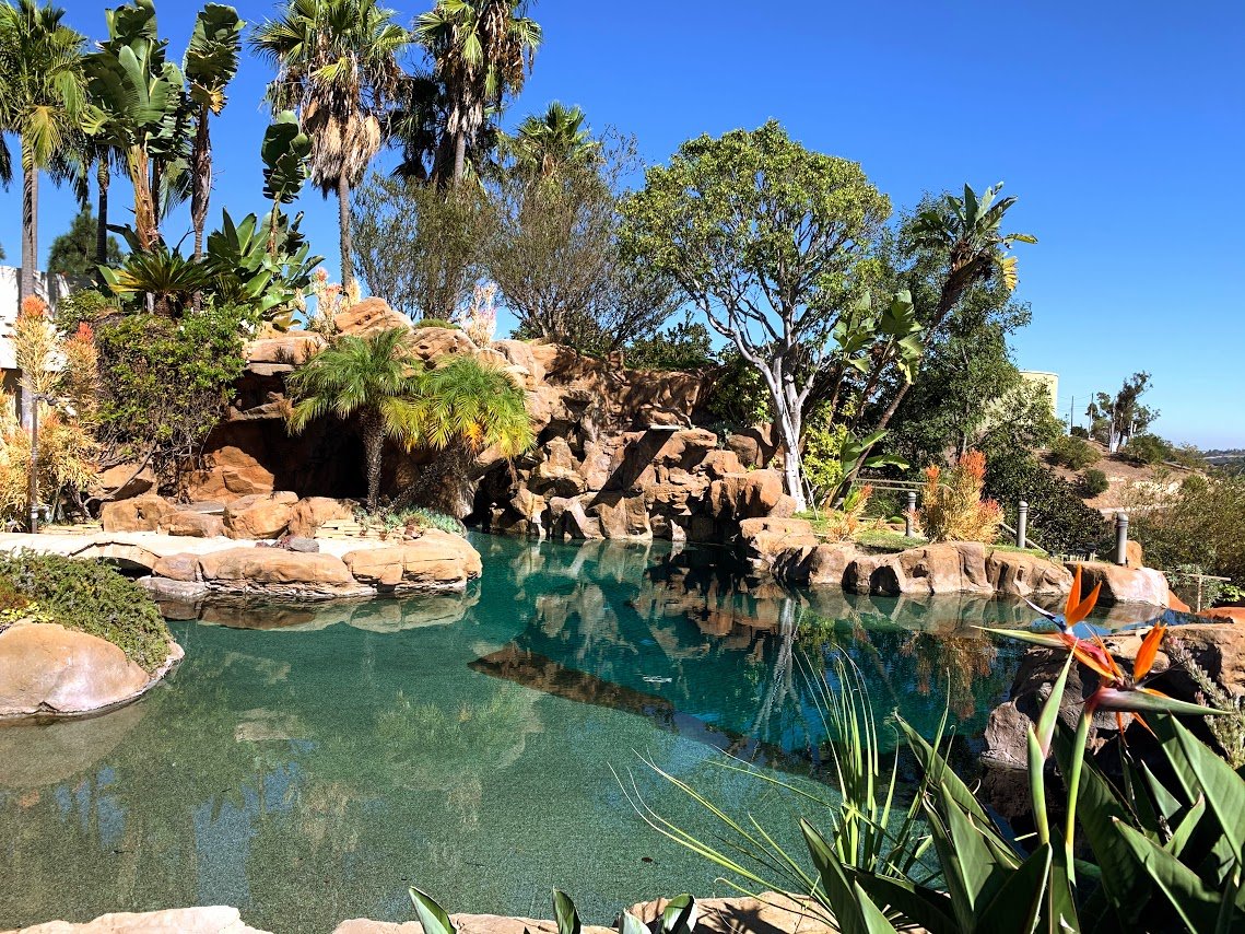Pool30.jpg