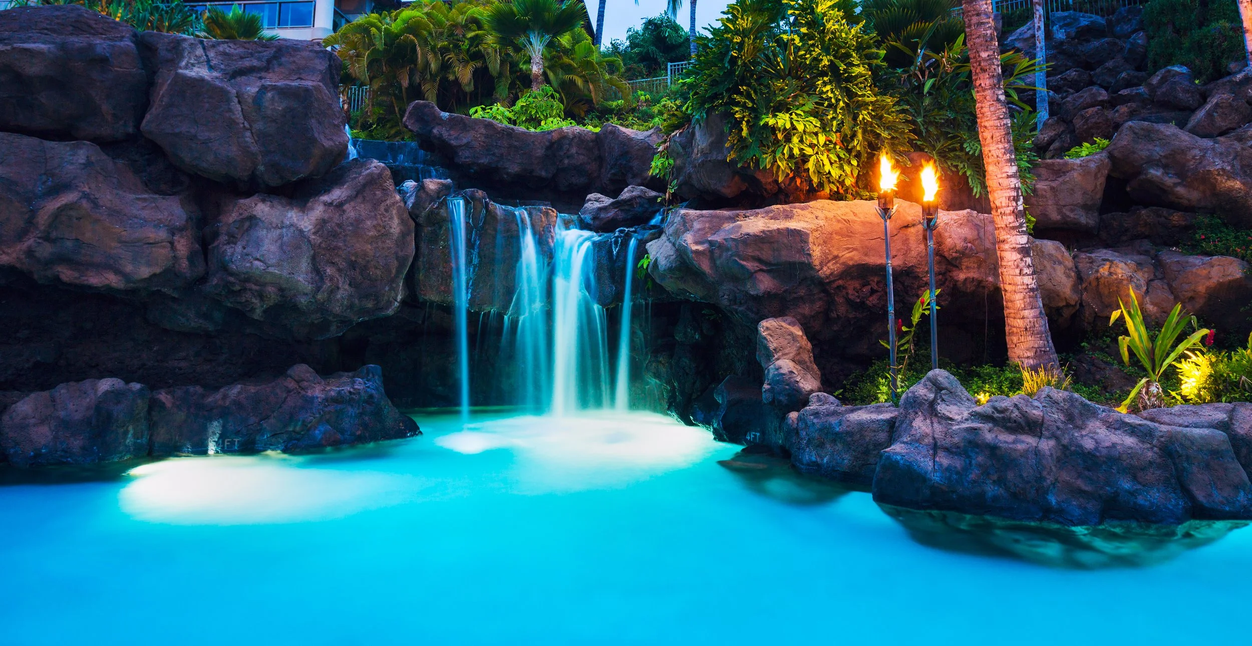 Tropical Pool 2.jpg