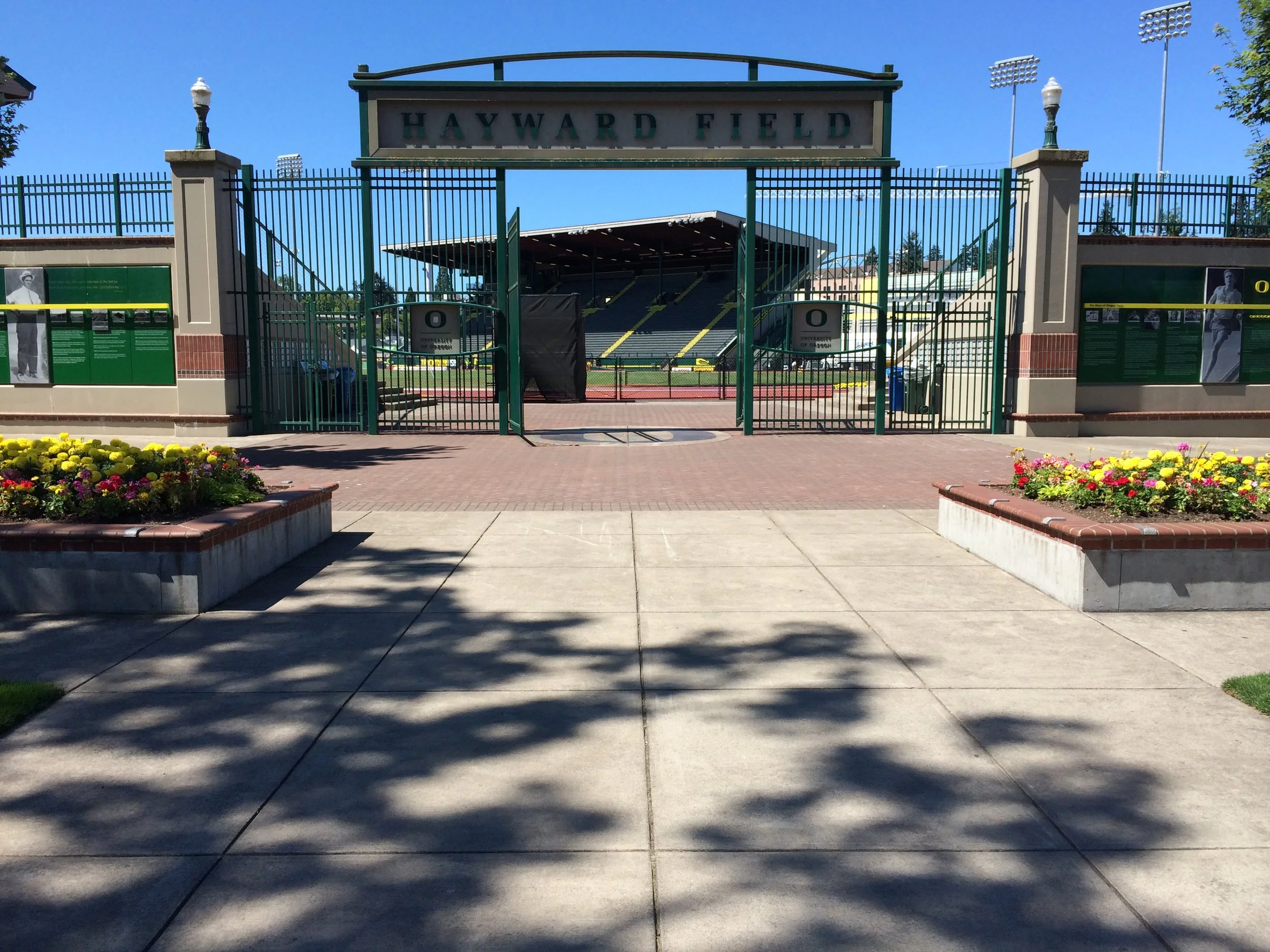 Eugene, beyond the 2014 world juniors?