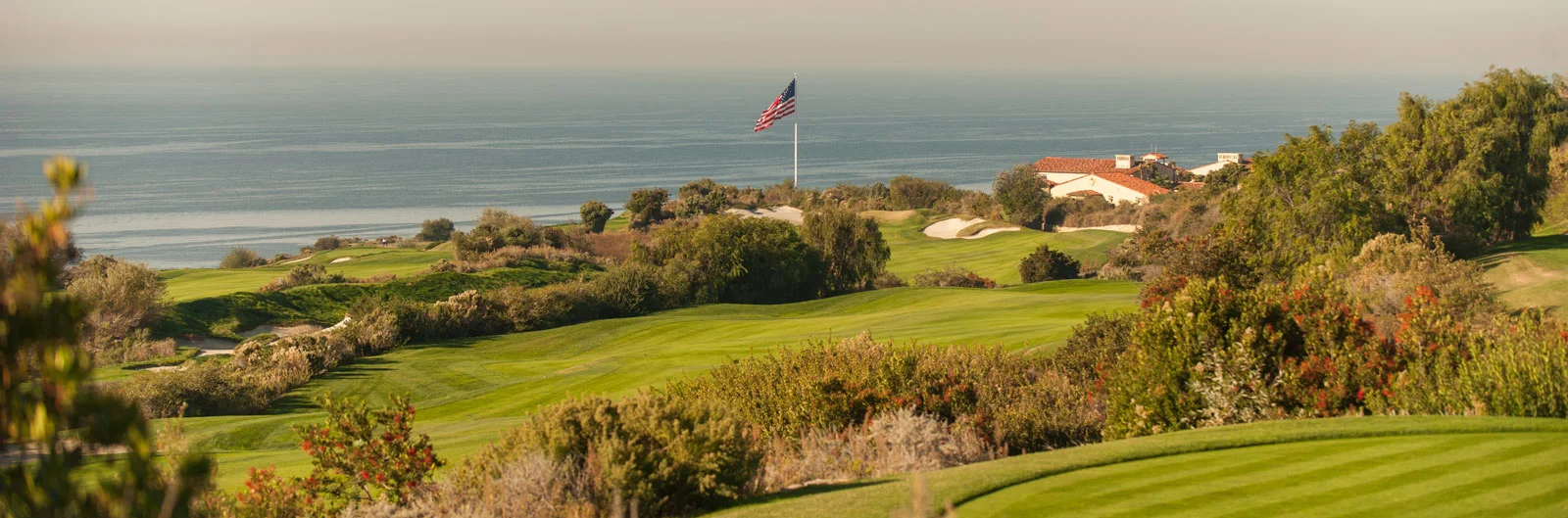 Like gin and tonic: sports and politics mix it up