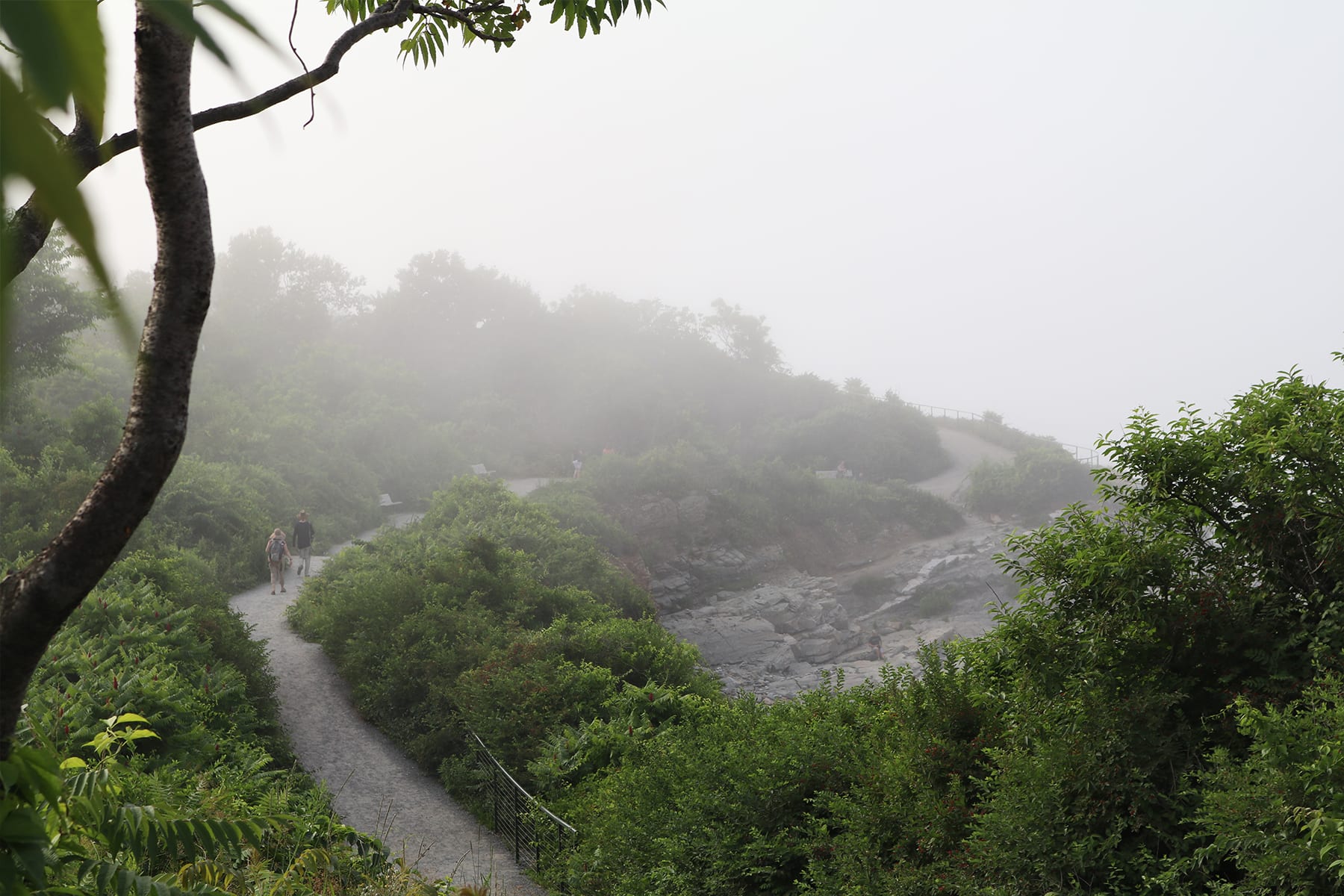 02-ME-journey39.jpg