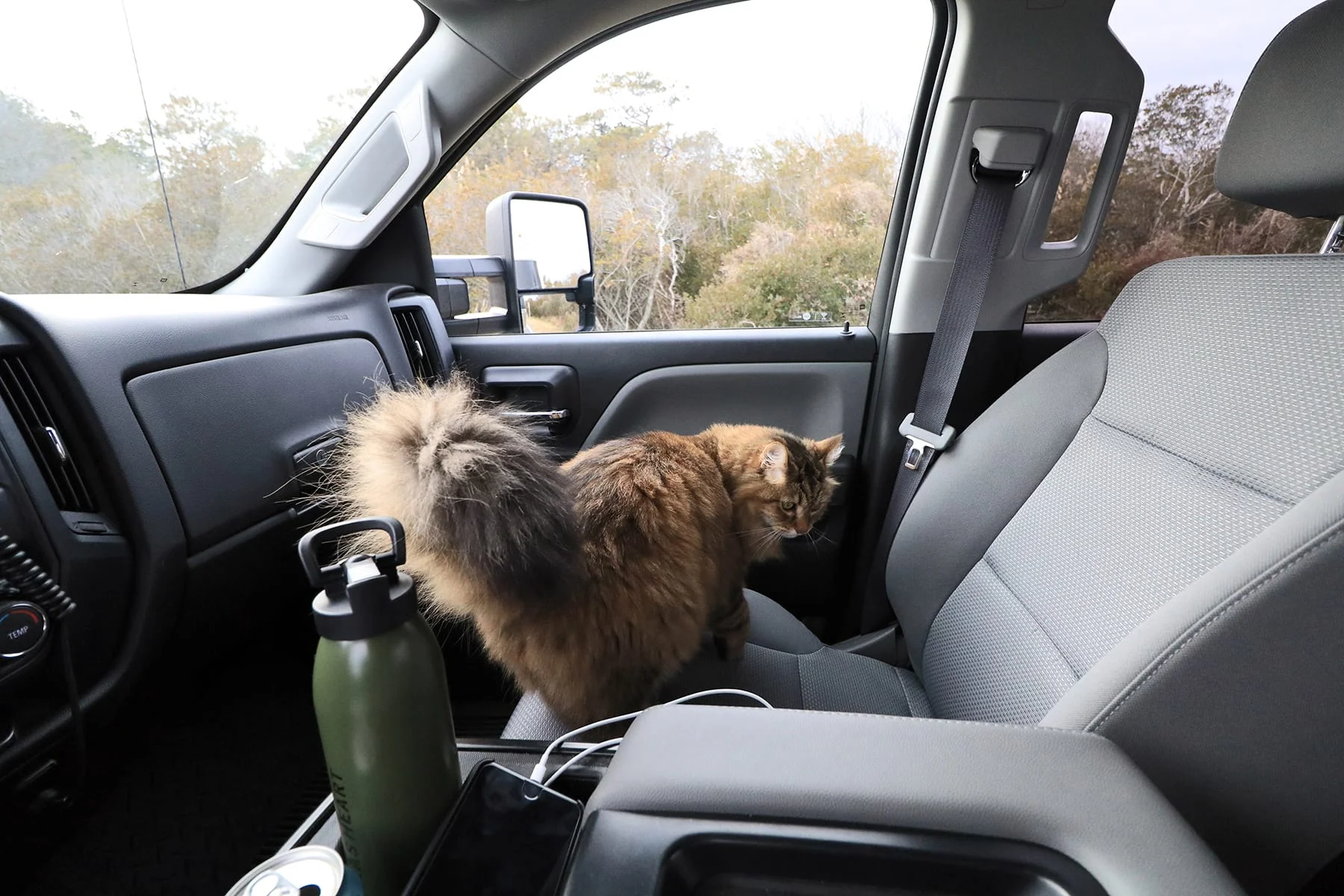 noel-car-frontseat01.jpg