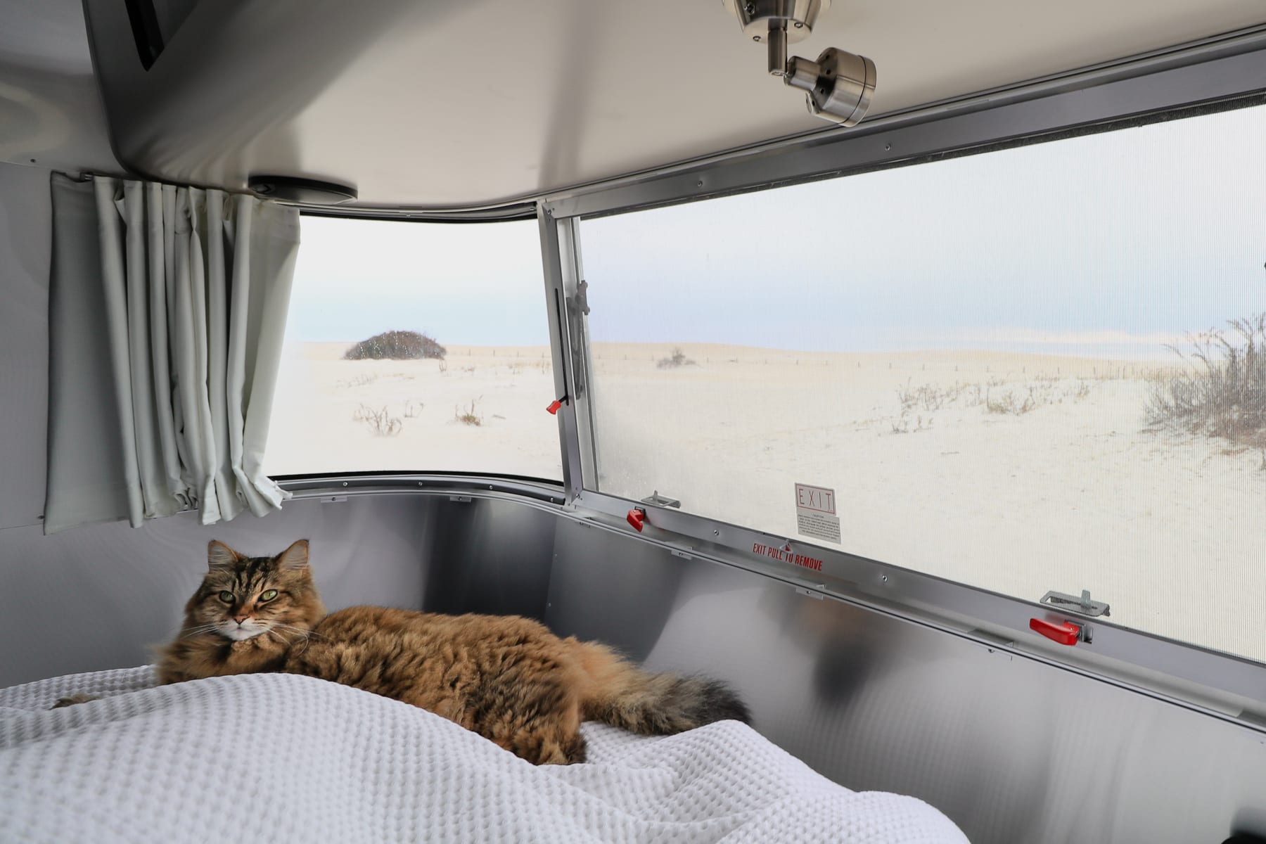 10-MD-journey-assateagueisland19.jpg