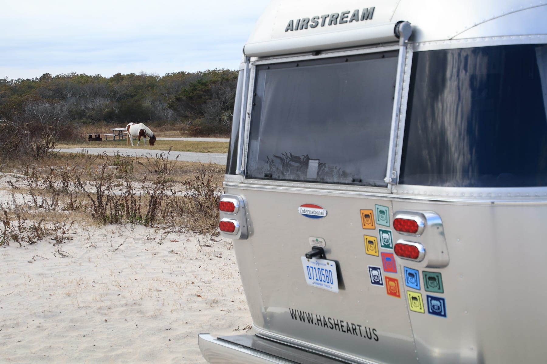 10-MD-journey-assateagueisland55.jpg