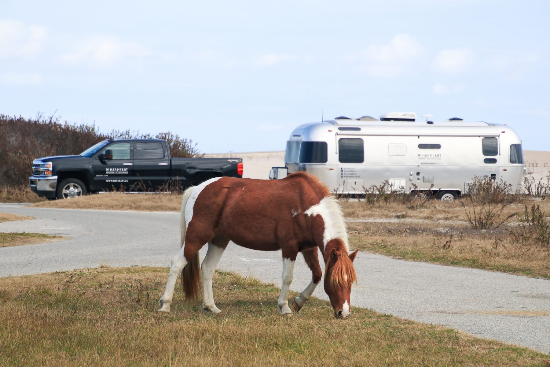 10-MD-journey-assateagueisland61.jpg