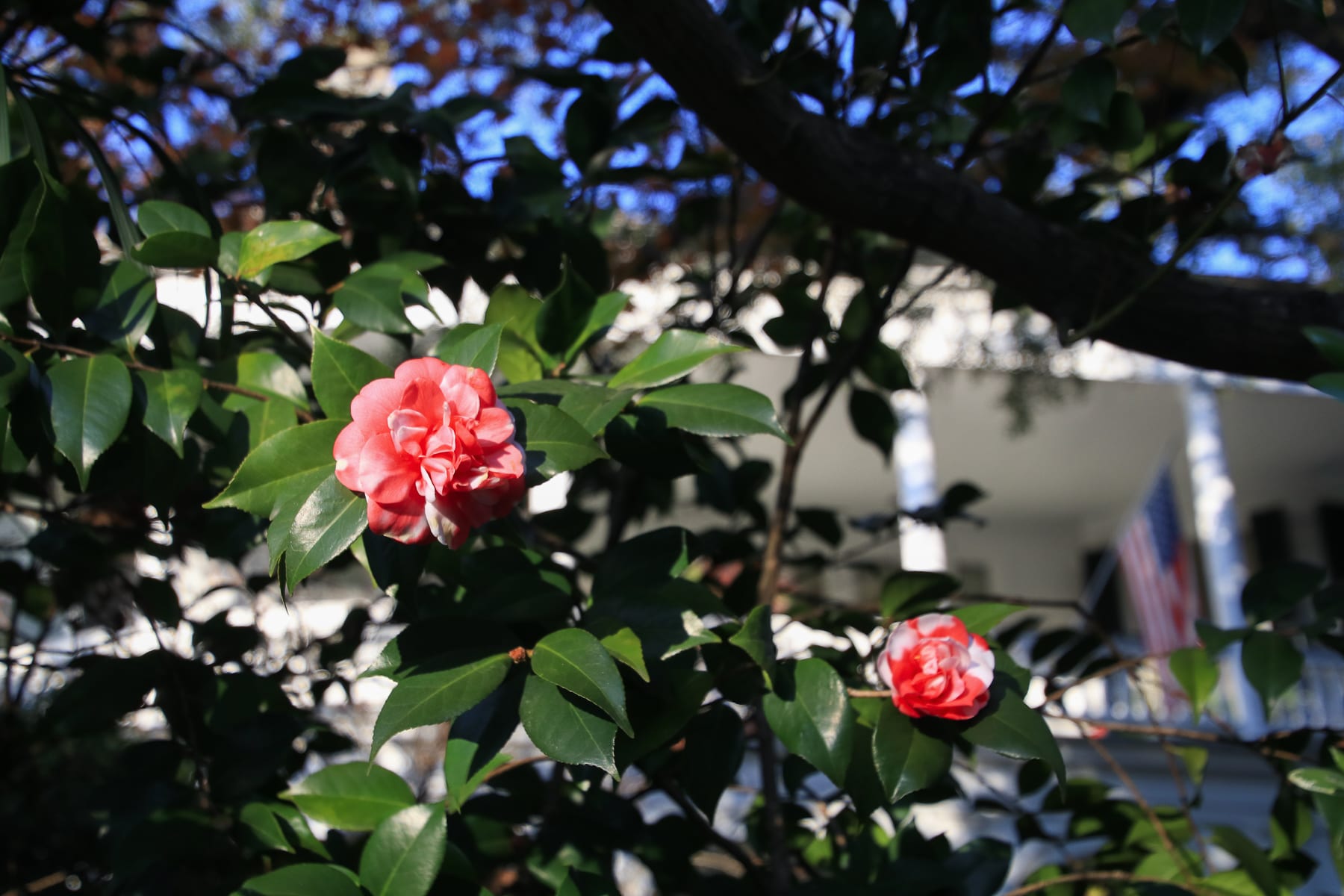 14-SC-journey-charleston19.jpg