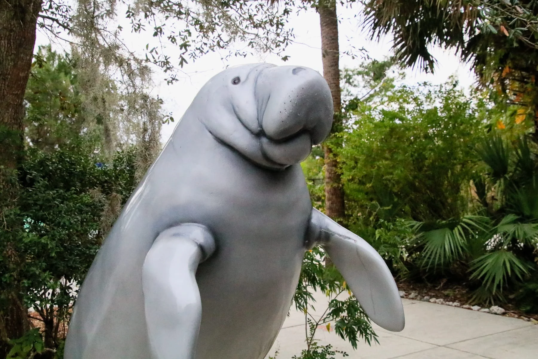15-FL-journey-manateestatepark.jpg
