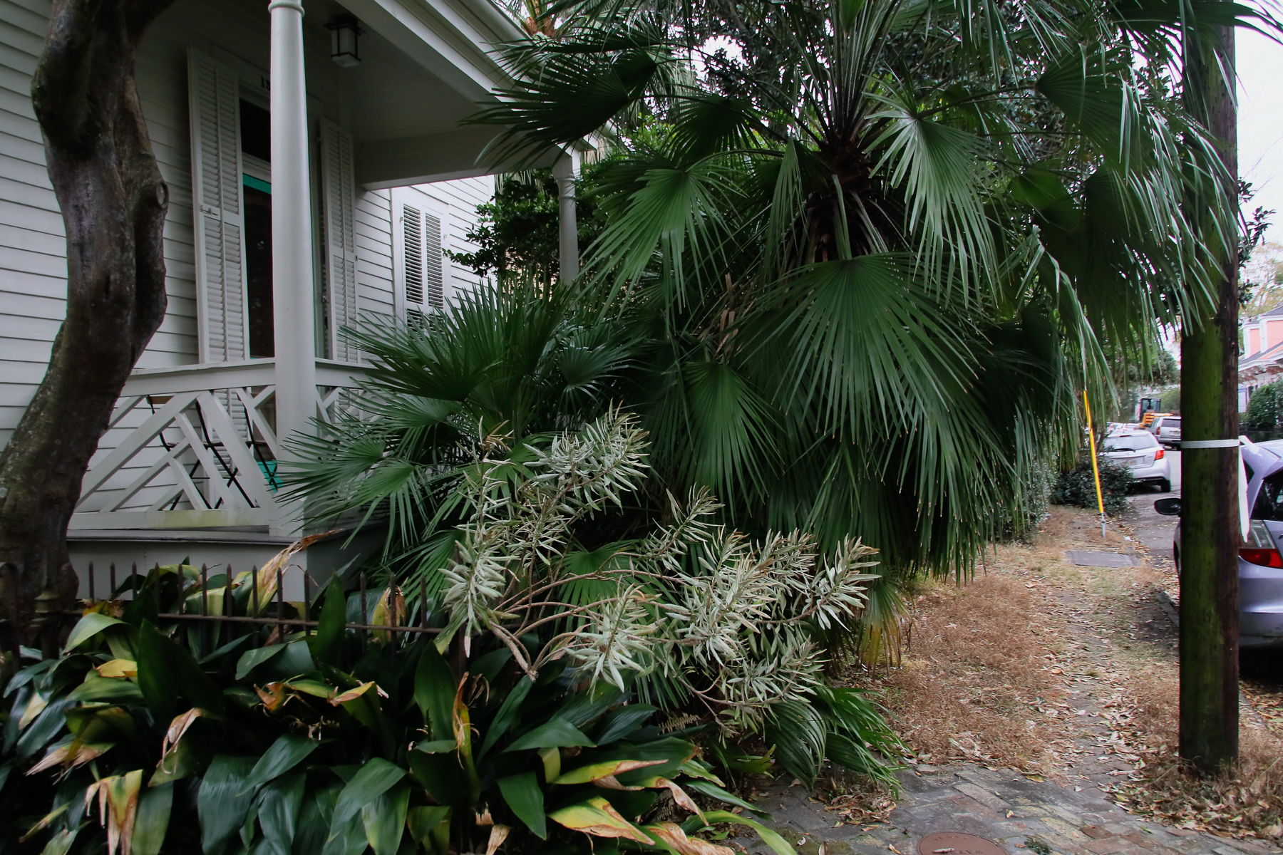 16-LA-journey-gardendistrict12.jpg
