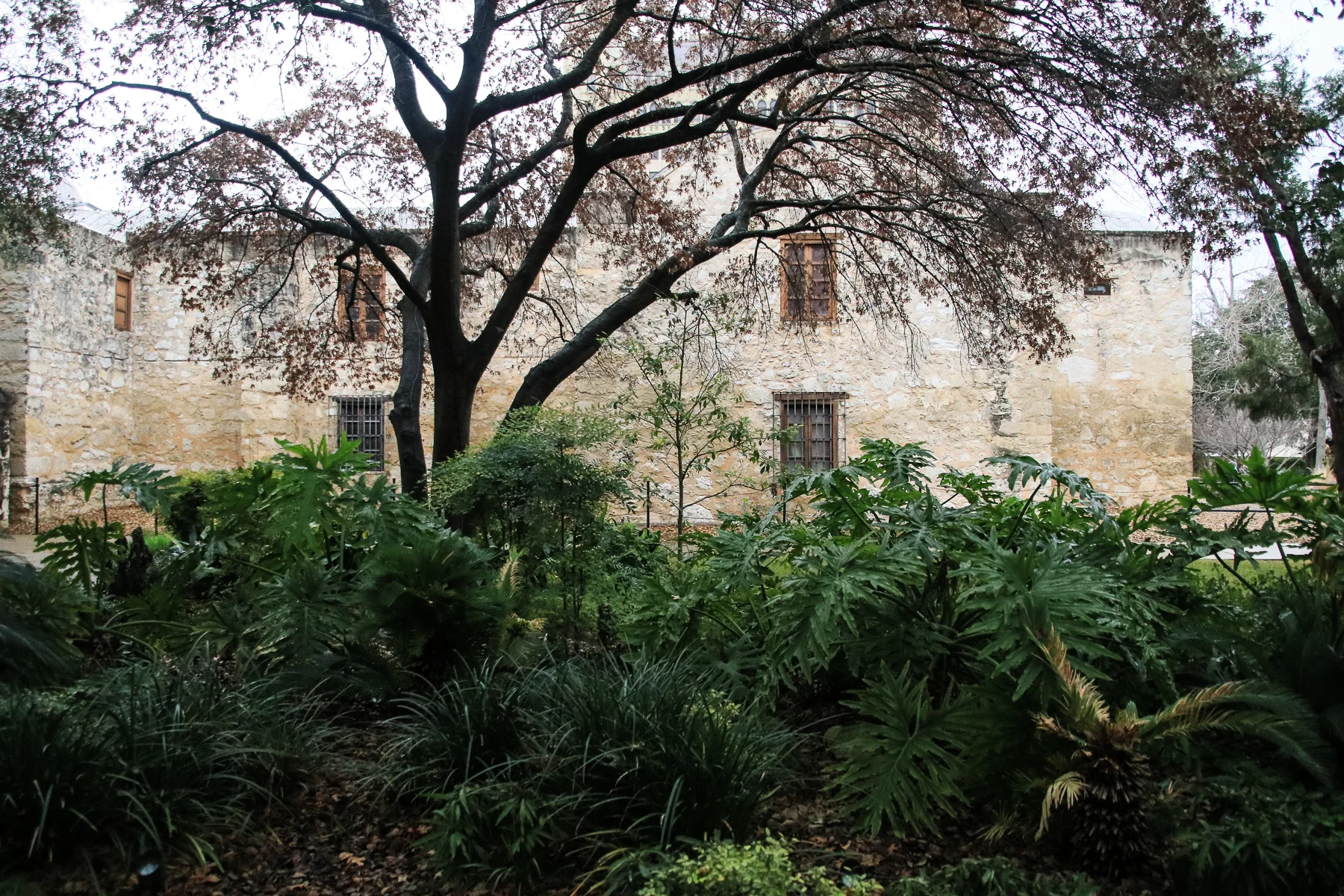 17-TX-journey-sanantonio56.jpg
