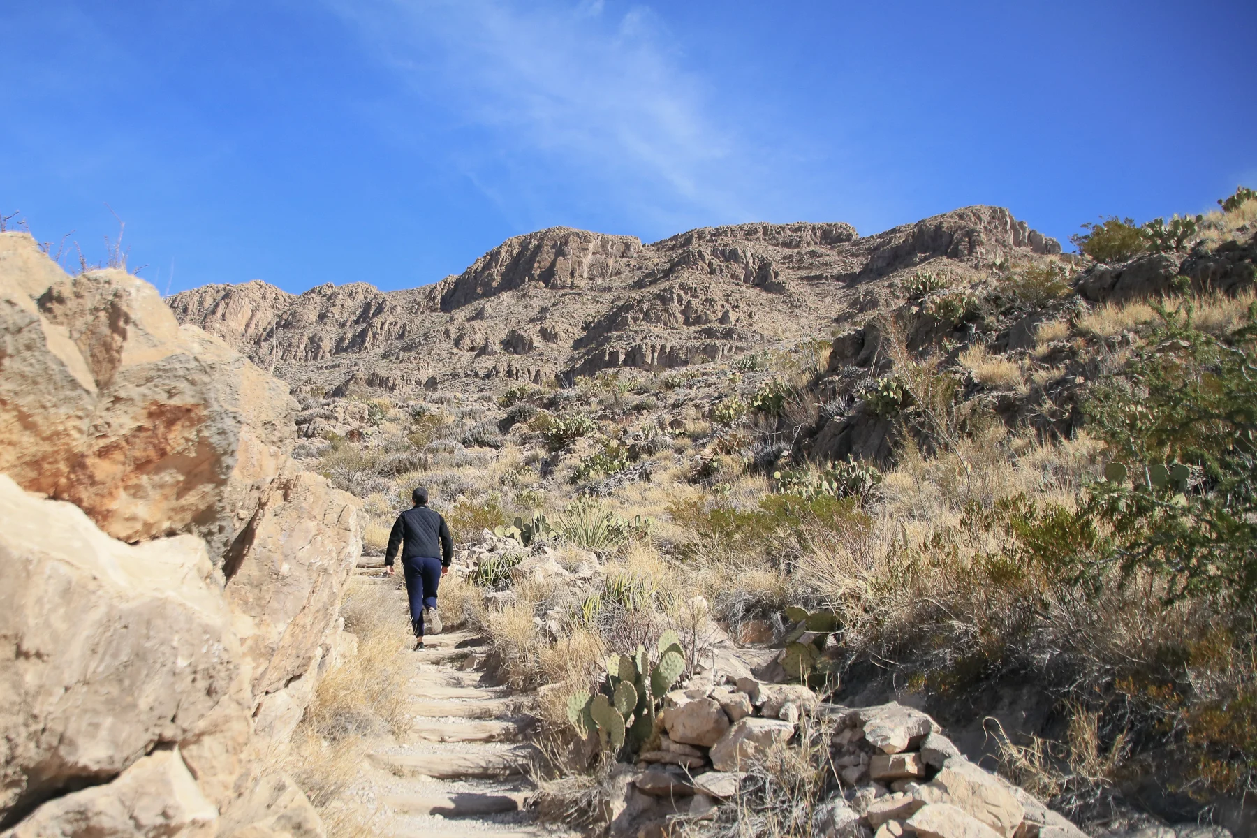 17-TX-journey-bigbendnatlpark156.jpg