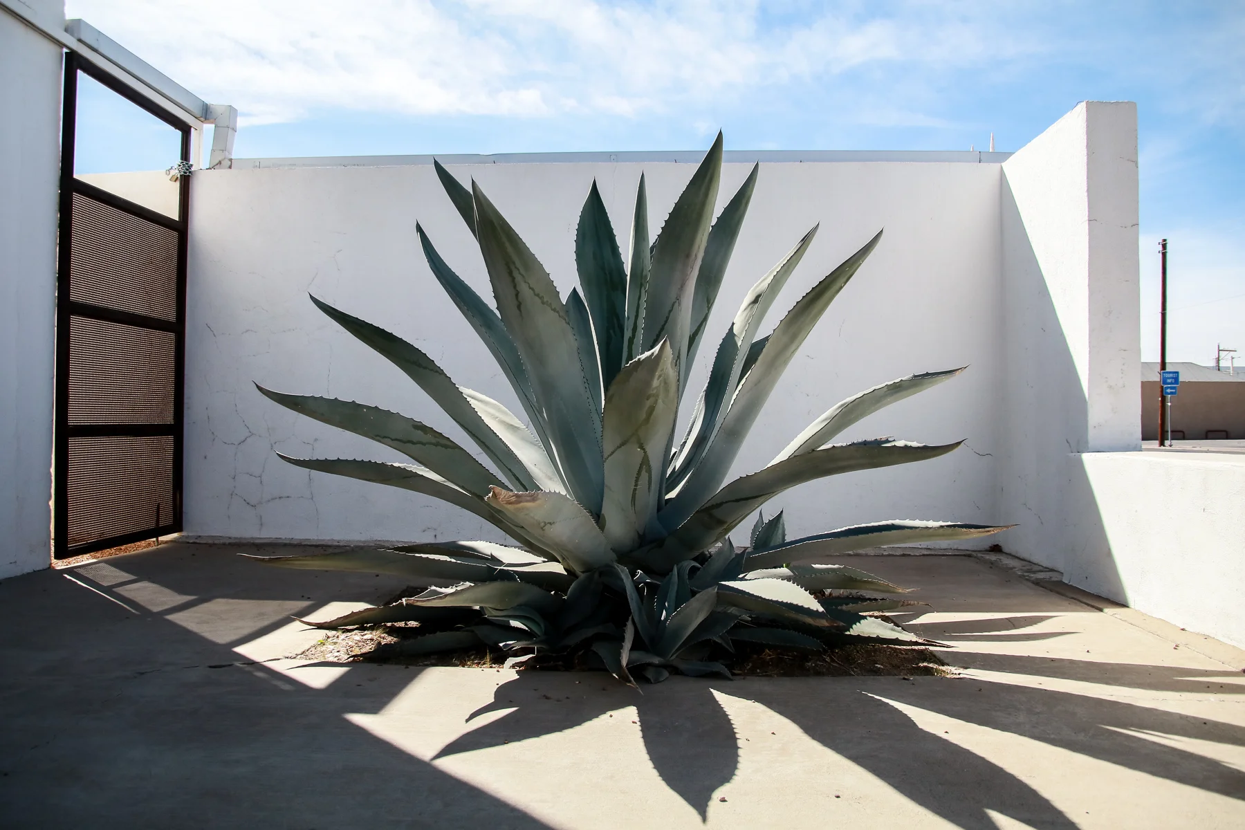 17-TX-journey-marfa112.jpg