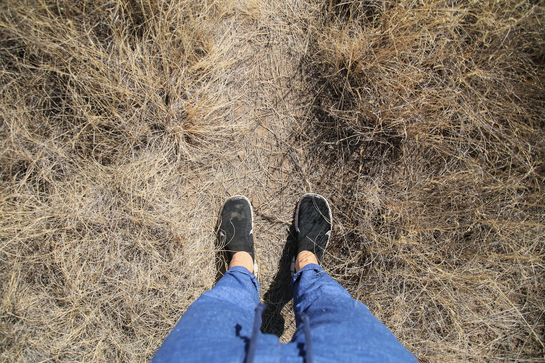 17-TX-journey-marfa70.jpg