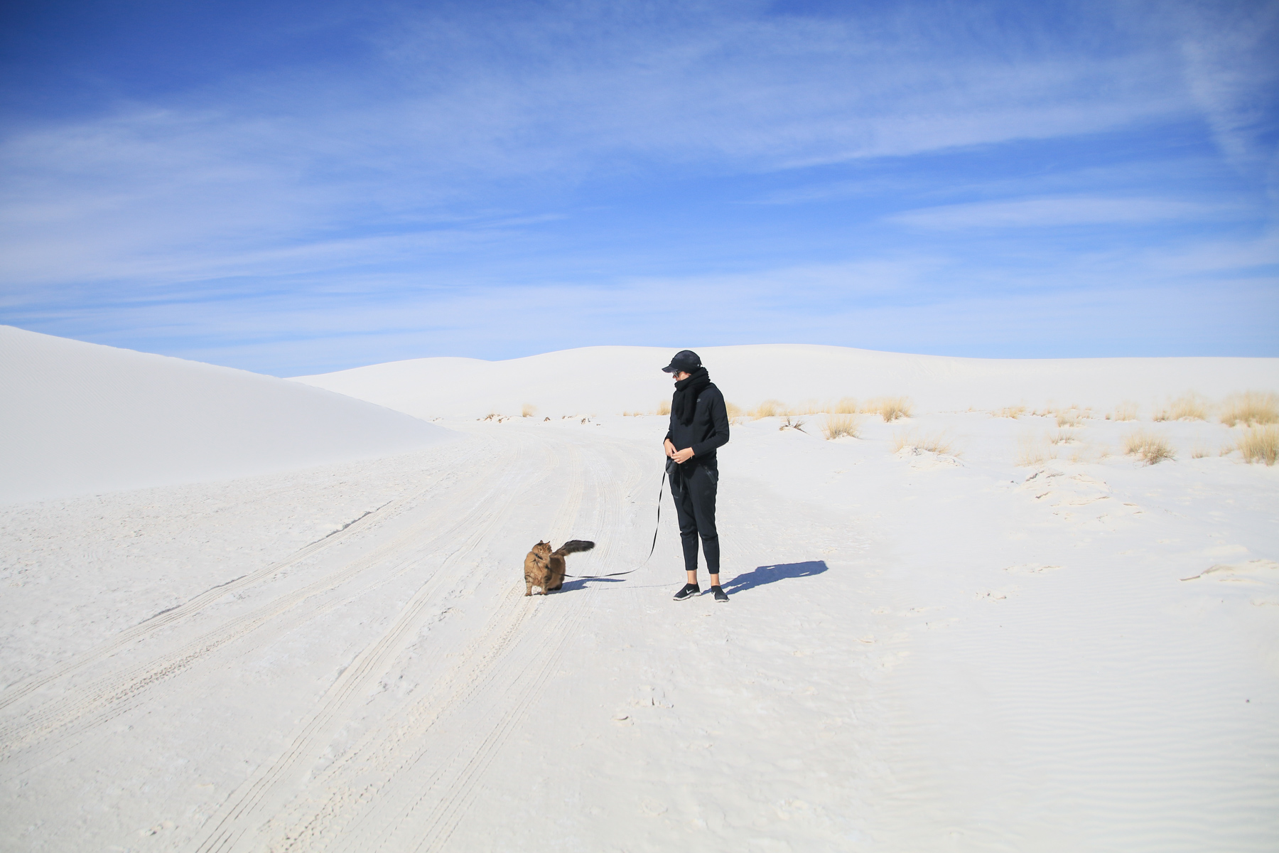 18-NM-whitesands09.jpg
