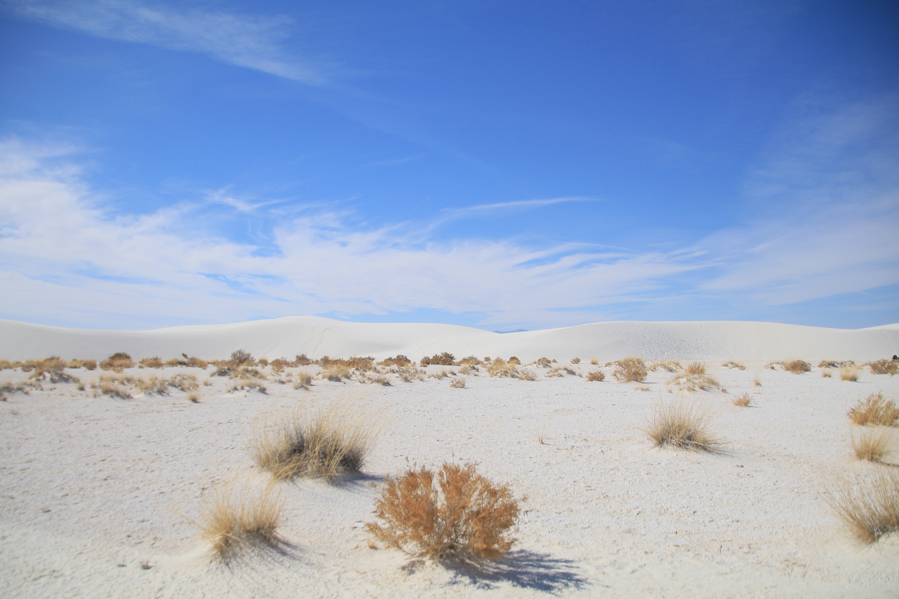 18-NM-whitesands13.jpg