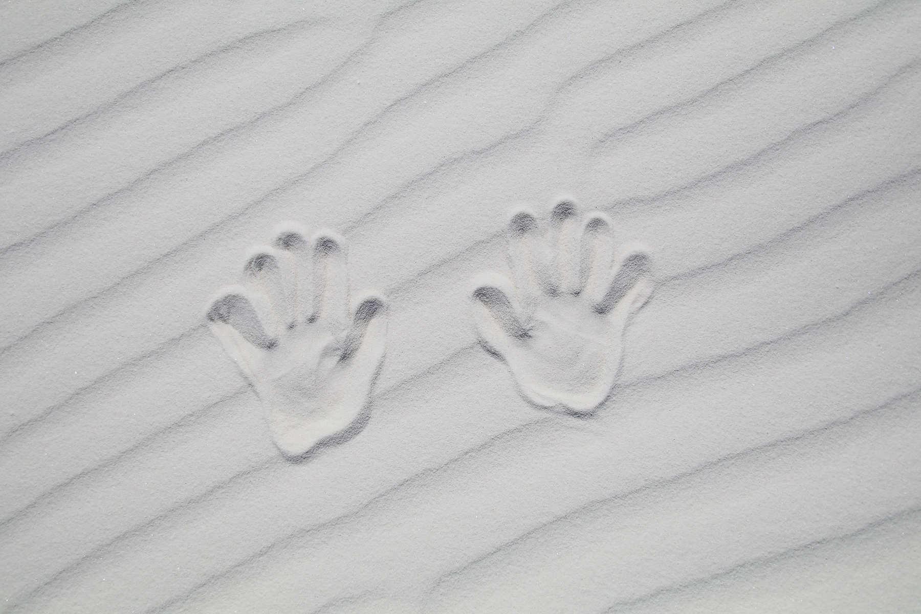 18-NM-whitesands19.jpg