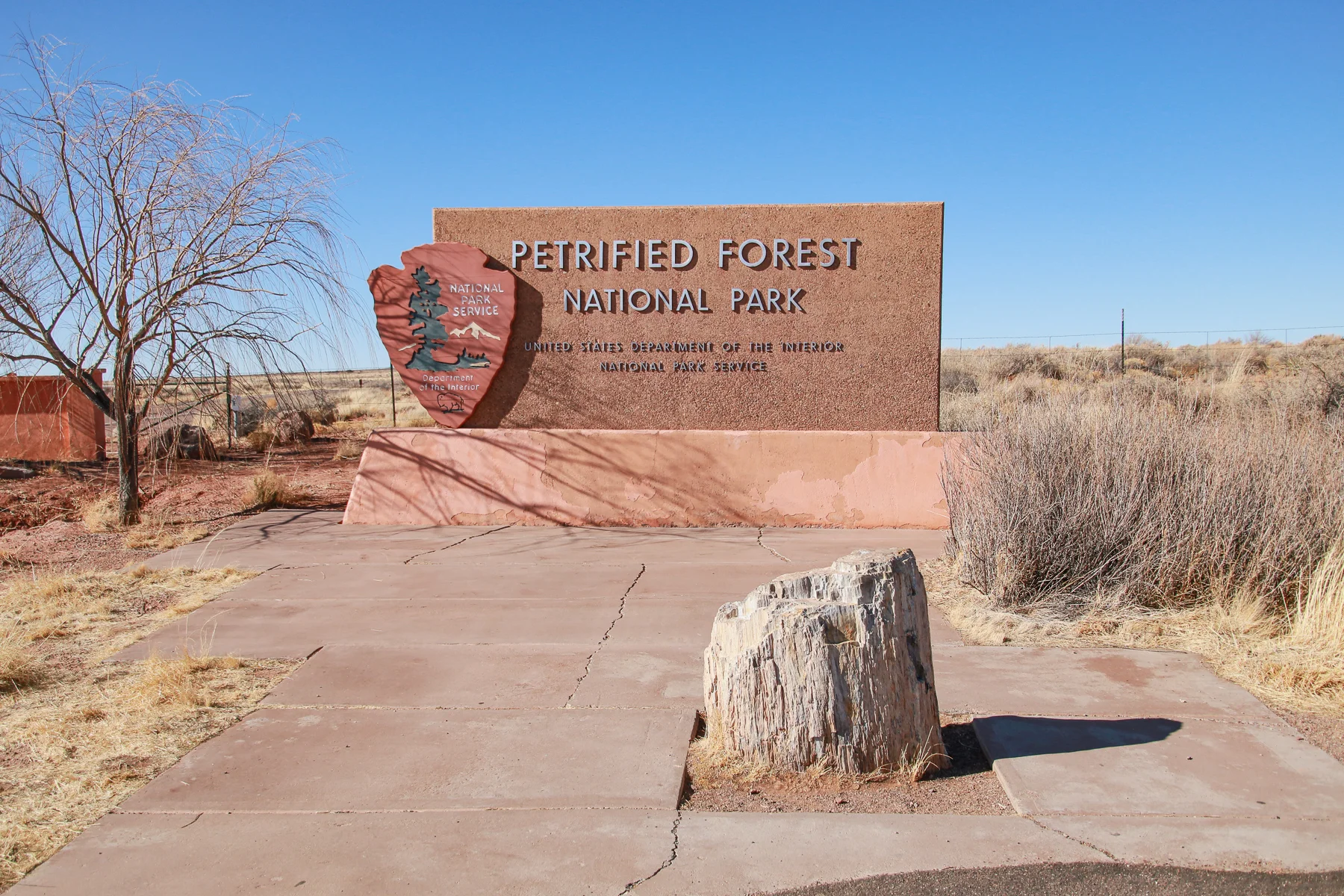 19-AZ-petrifiedforest07a.jpg