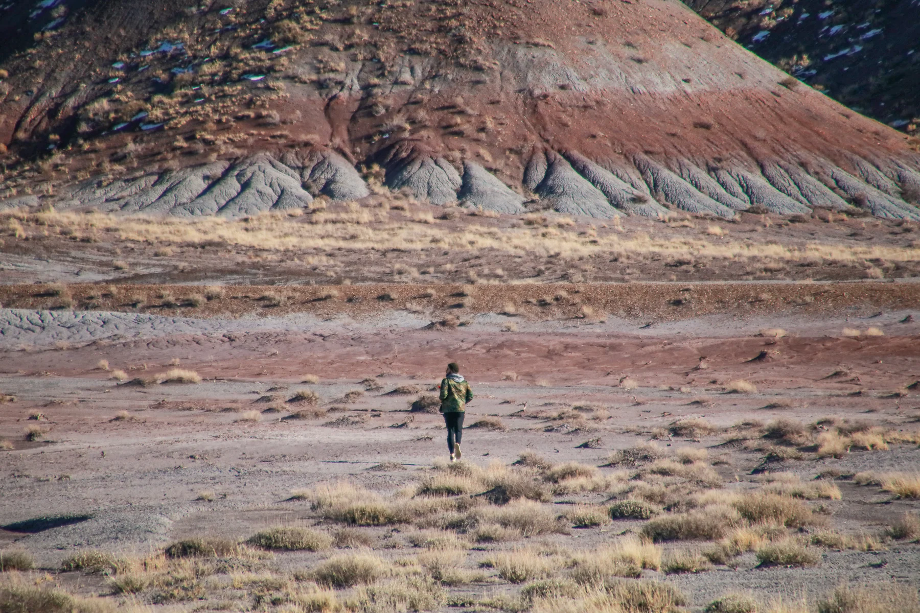 19-AZ-petrifiedforest17.jpg