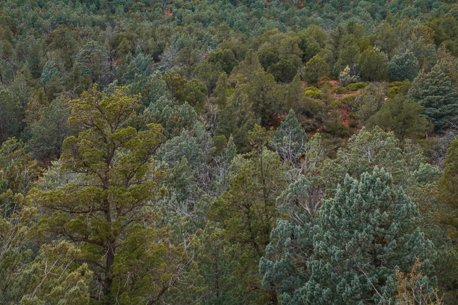 19-AZ-sedona23.jpg