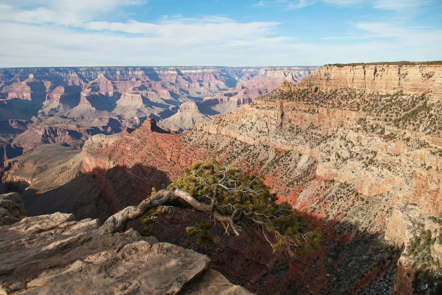 19-AZ-grandcanyon03.jpg