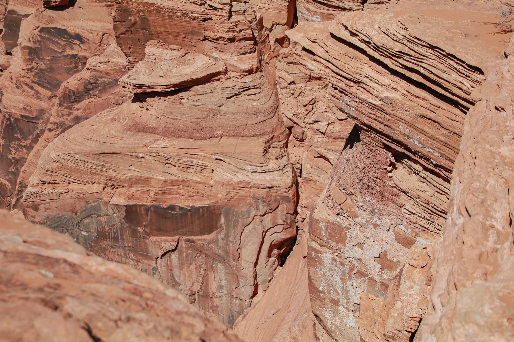 19-AZ-grandcanyon68.jpg