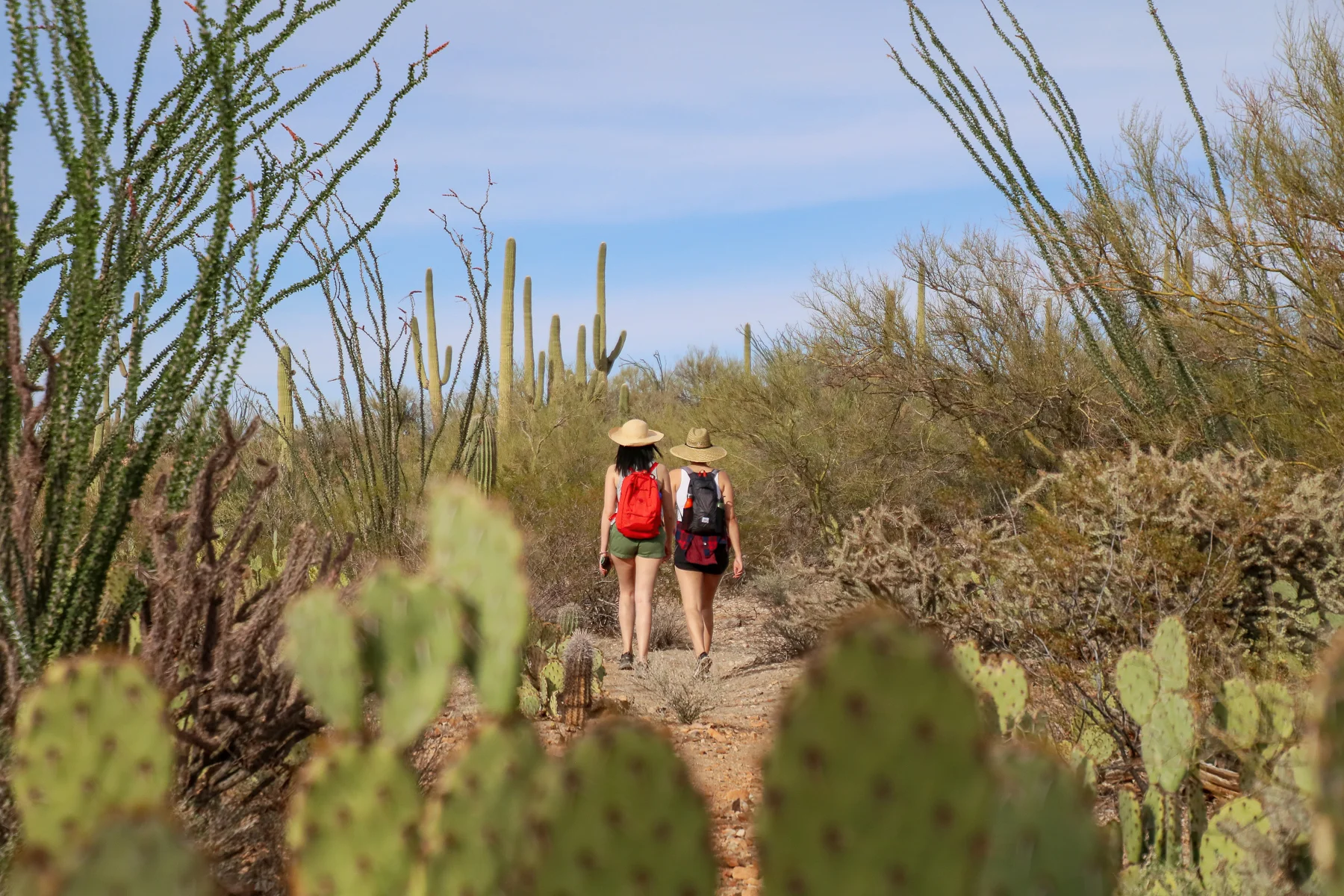19-AZ-tucson19.jpg