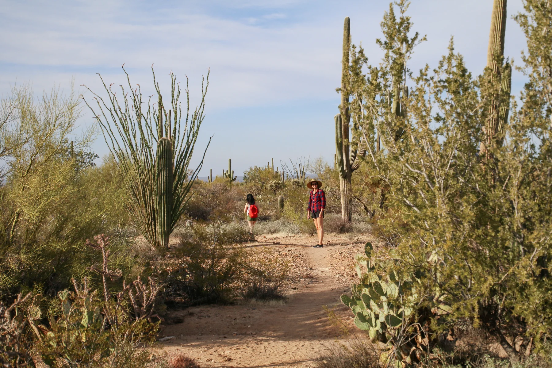 19-AZ-tucson32.jpg