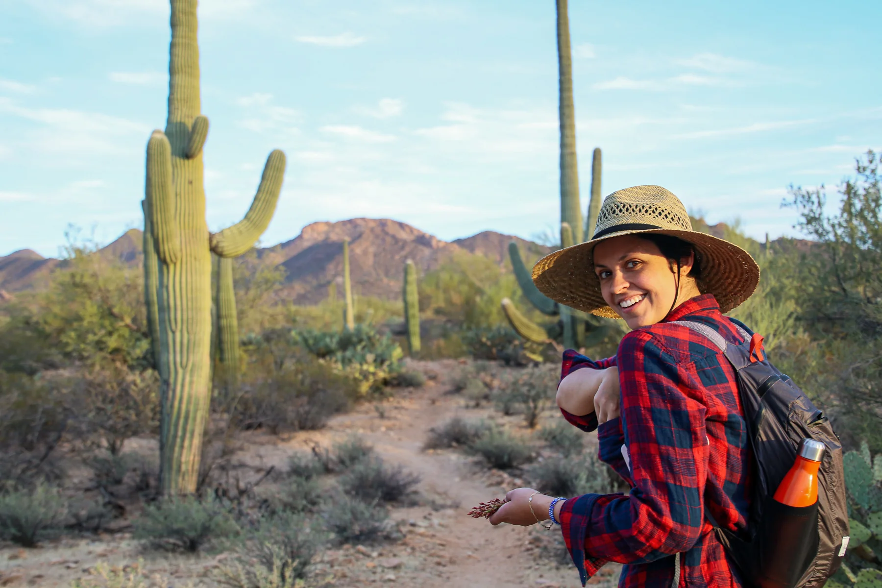 19-AZ-tucson66e.jpg