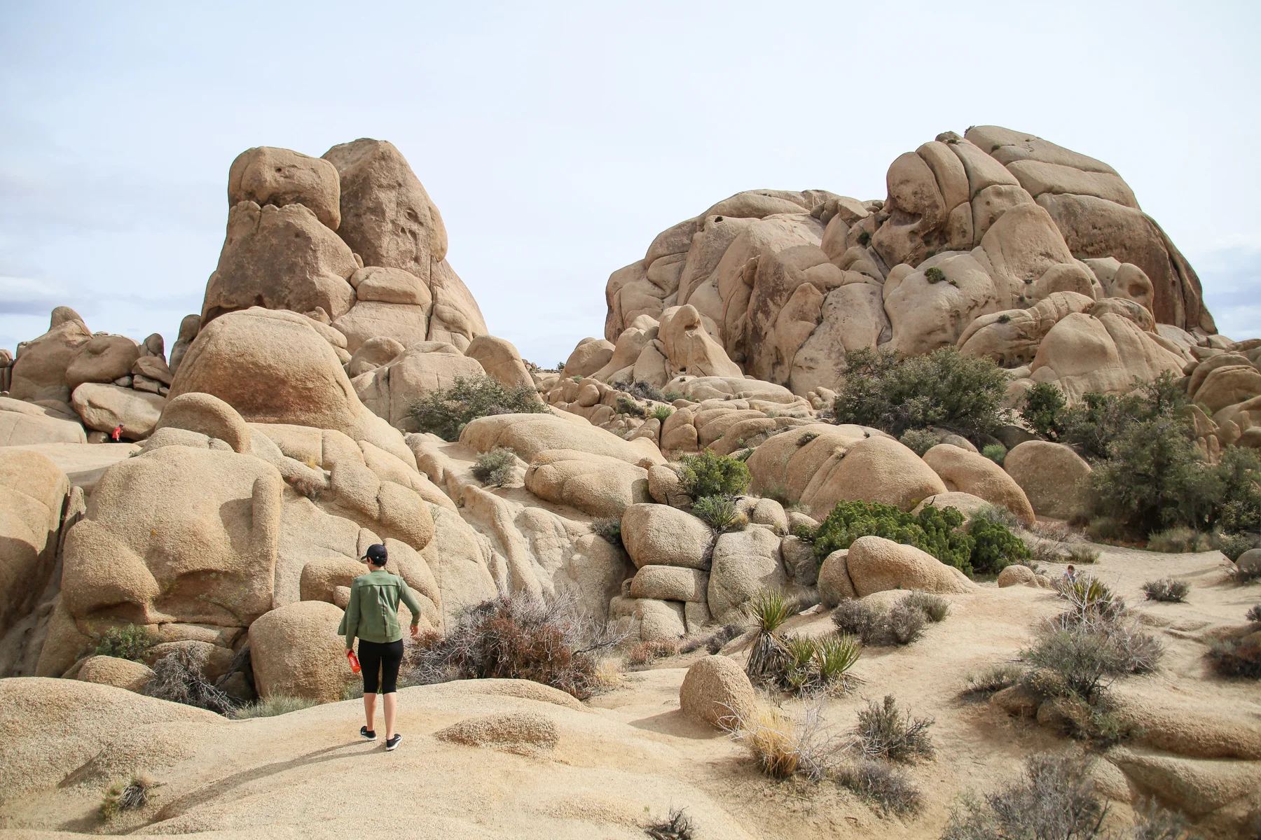 20-CA-joshuatree24.jpg